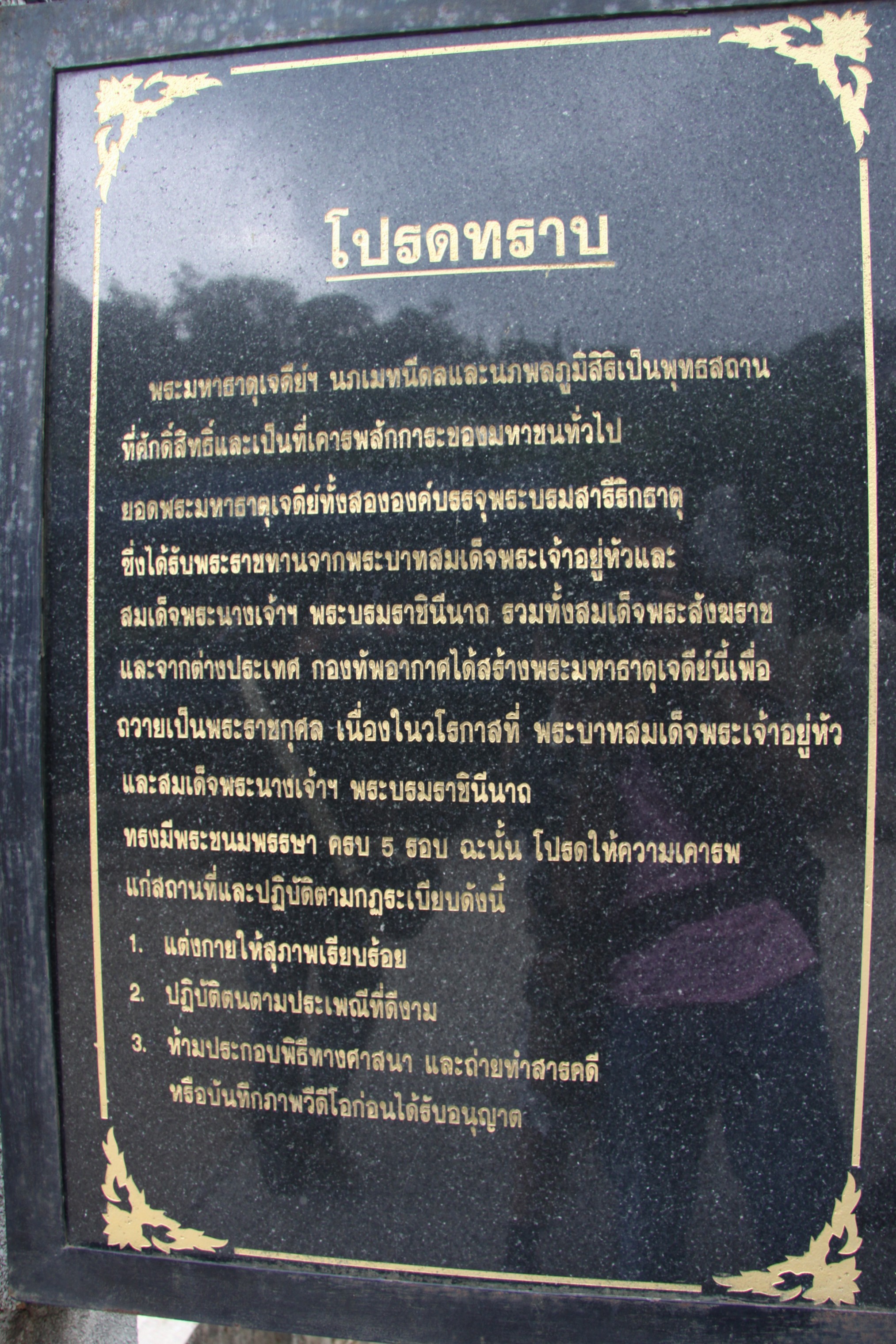 Photo Camp Survey 2009