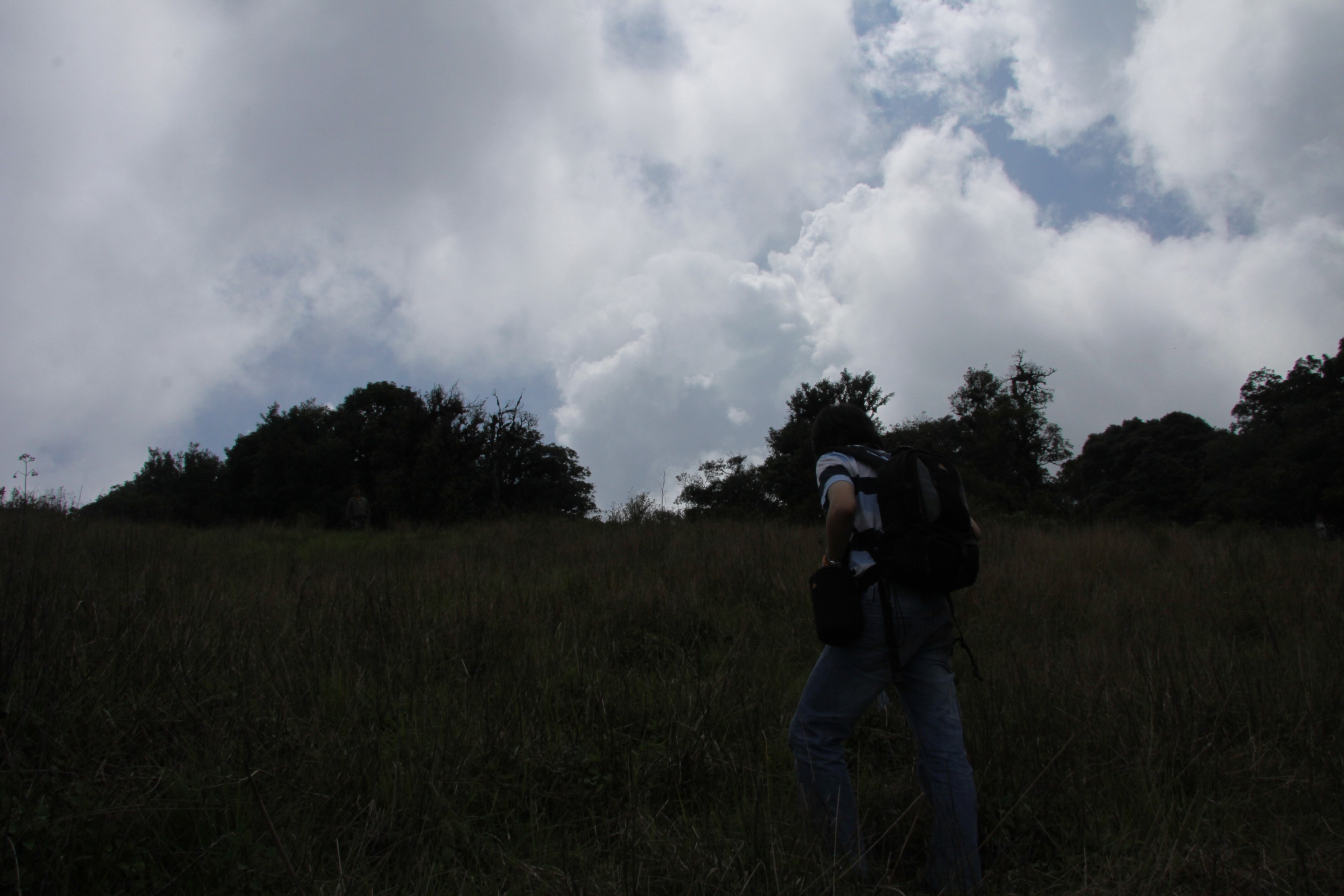 Photo Camp Survey 2009