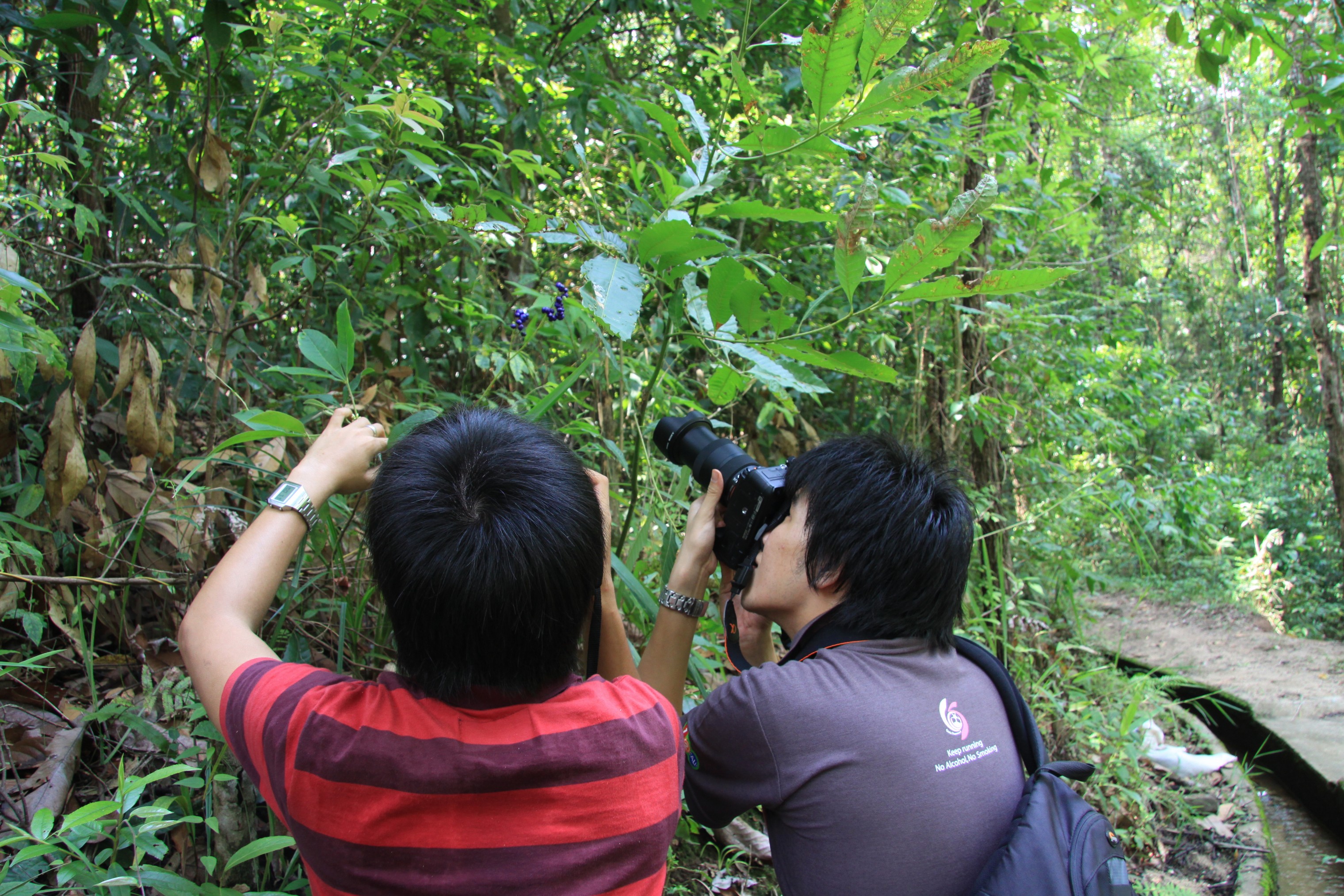 Photo Camp Survey 2009