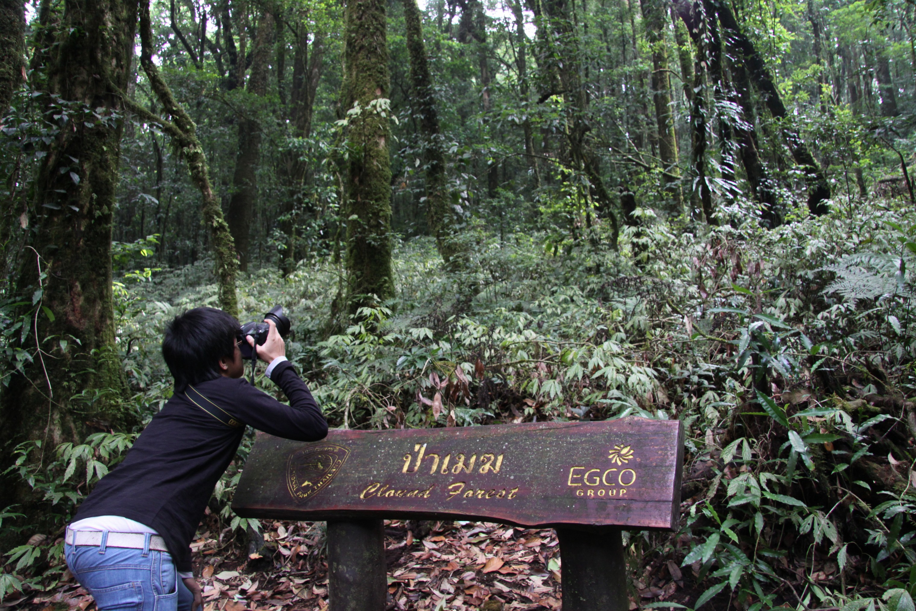 Photo Camp Survey 2009