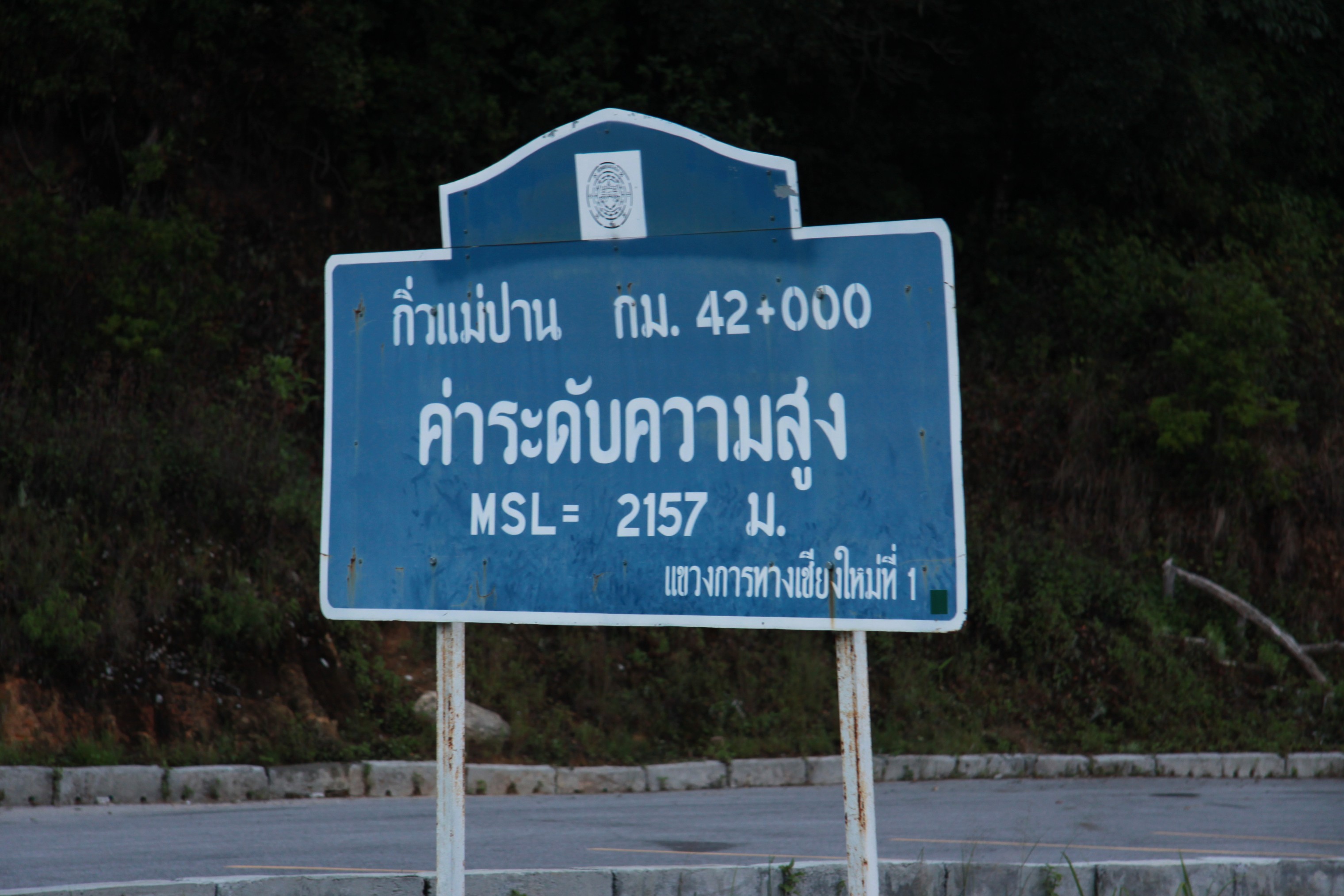Photo Camp Survey 2009