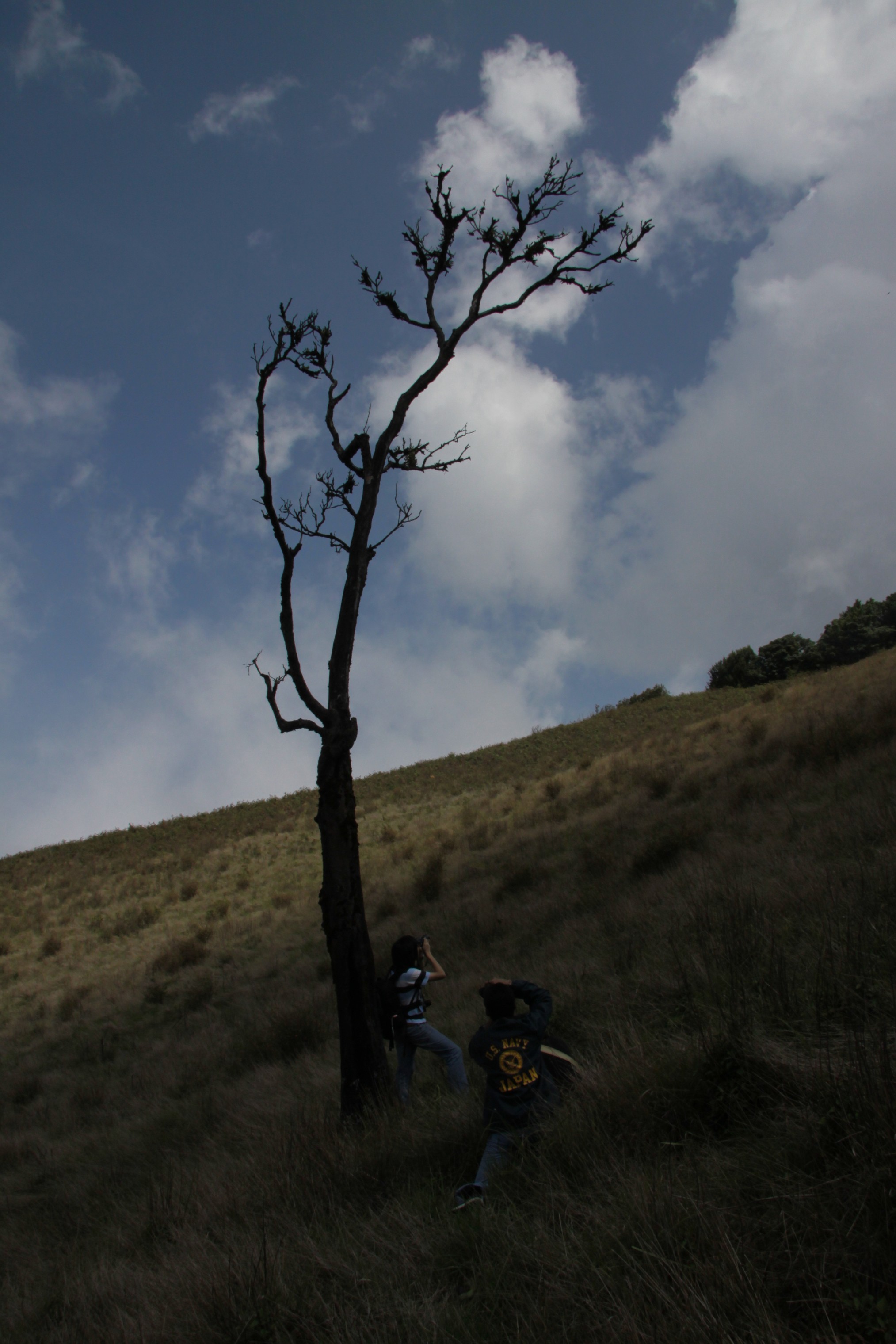 Photo Camp Survey 2009