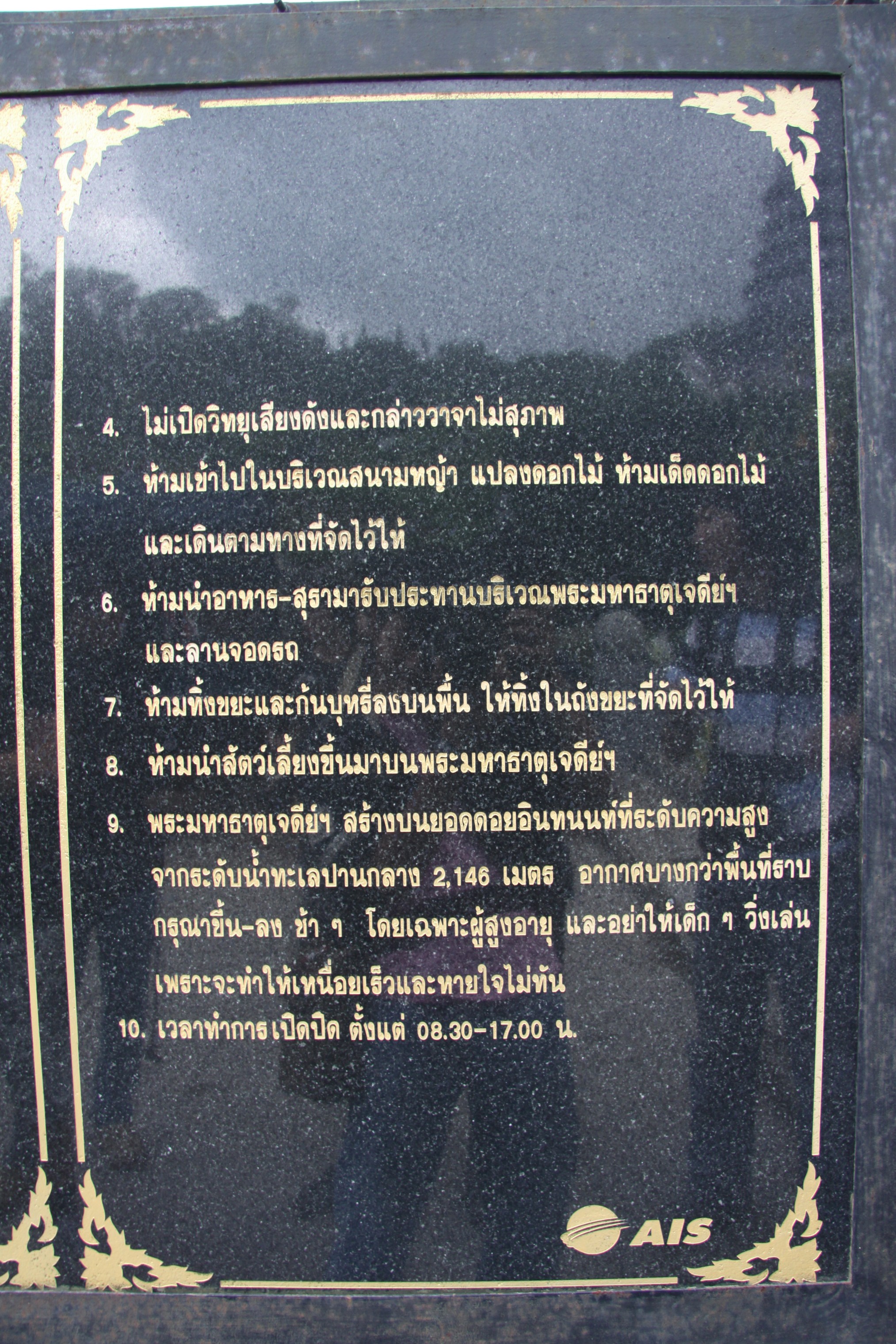 Photo Camp Survey 2009