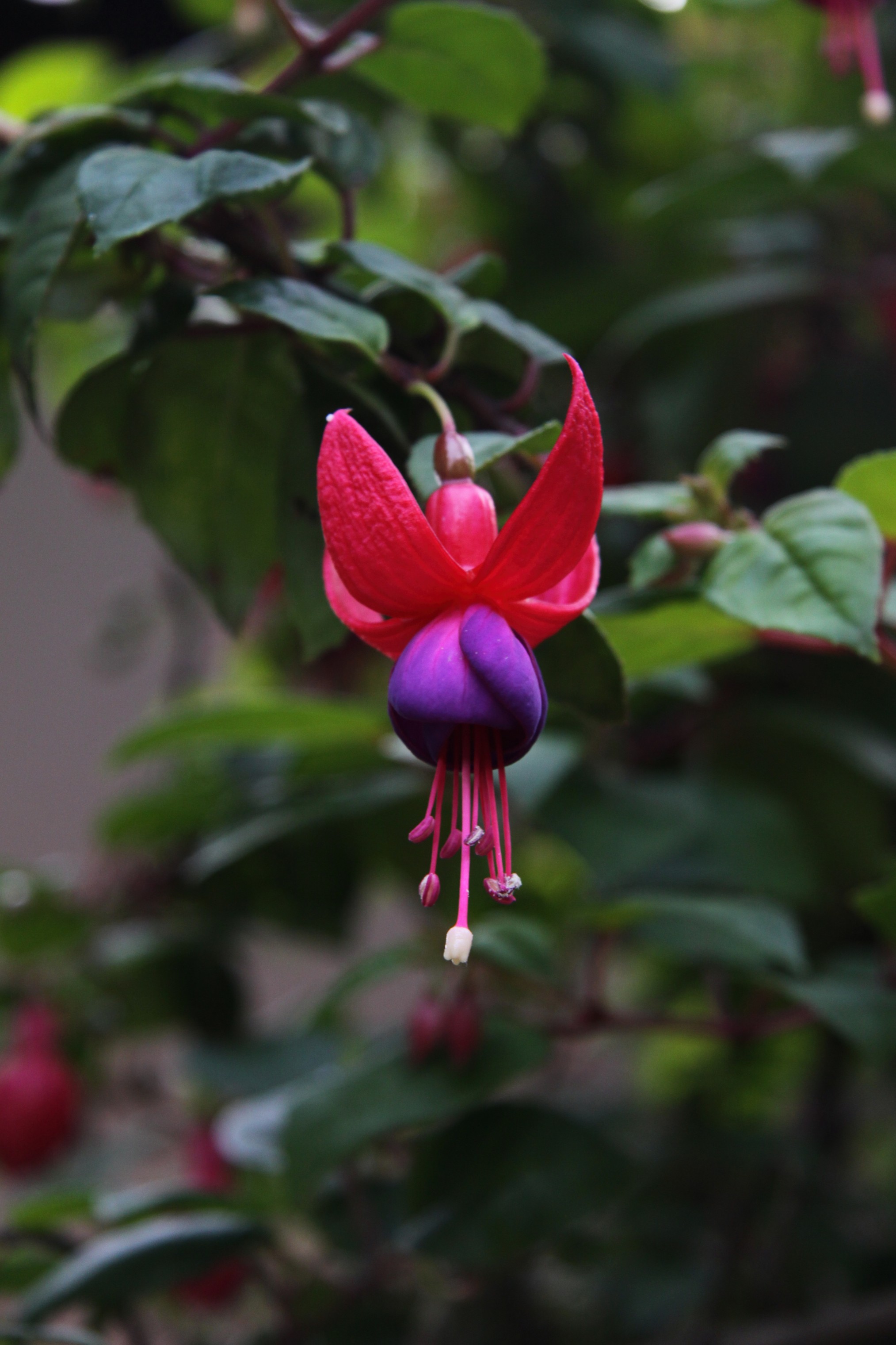 Photo Camp Survey 2009