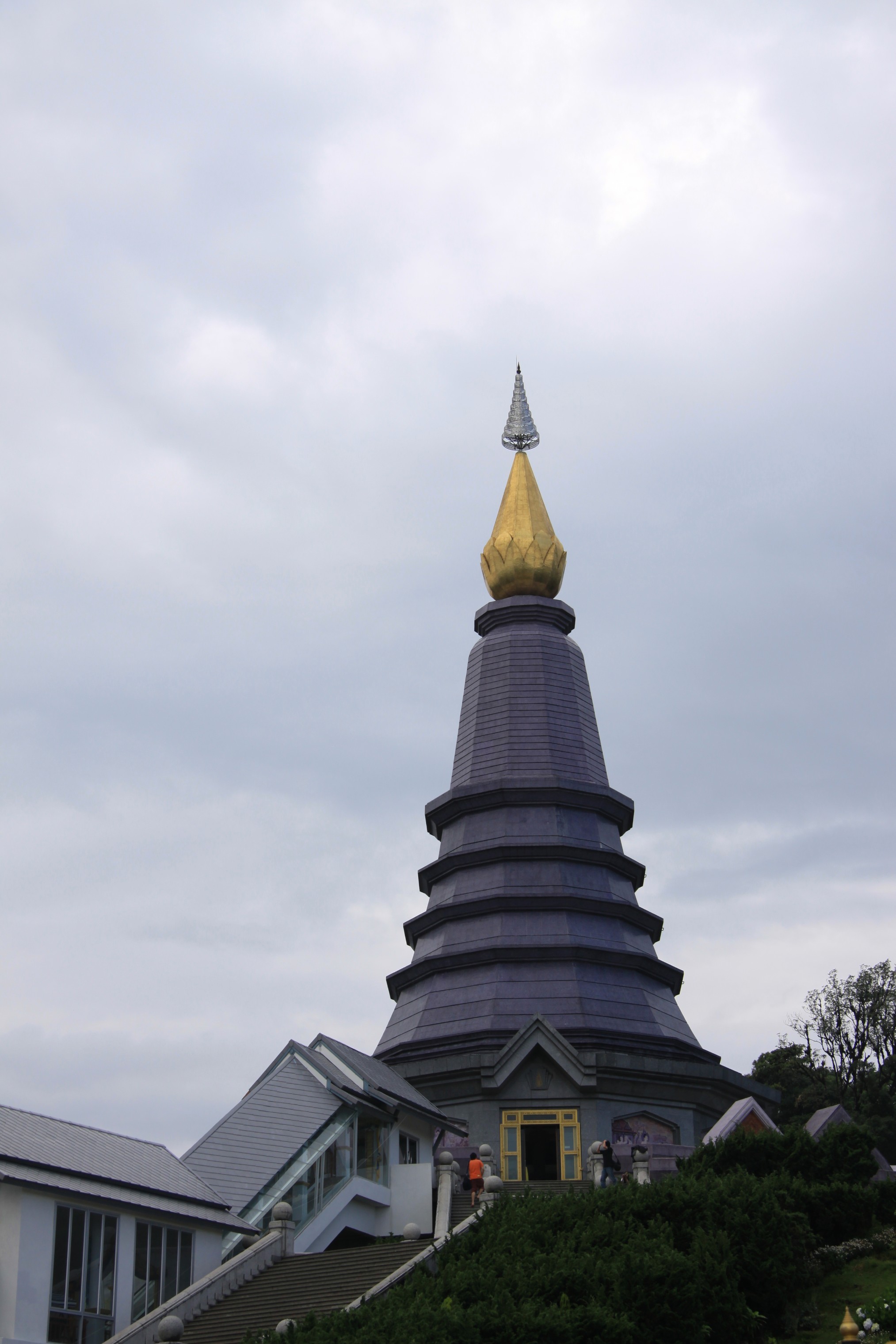 Photo Camp Survey 2009