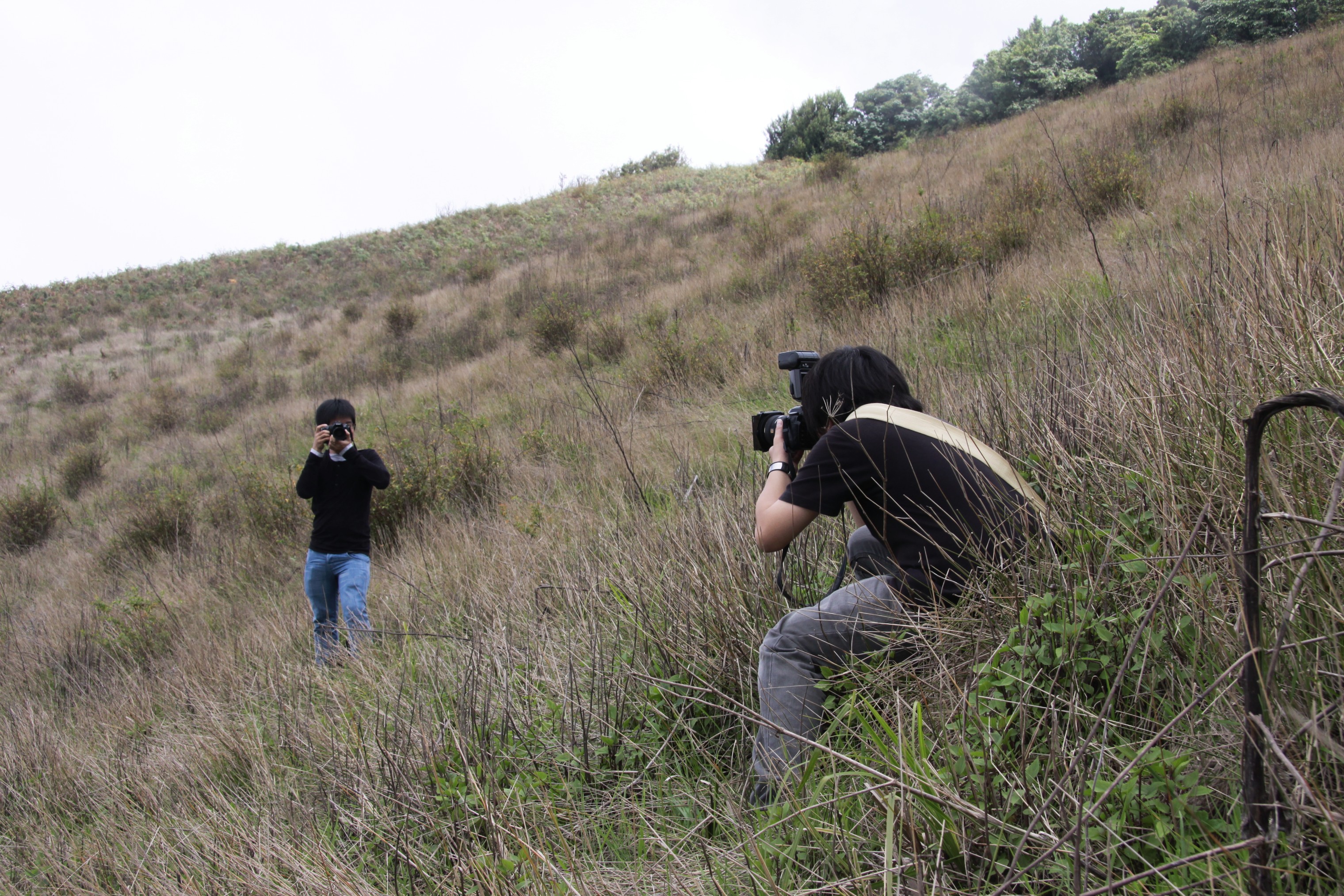 Photo Camp Survey 2009