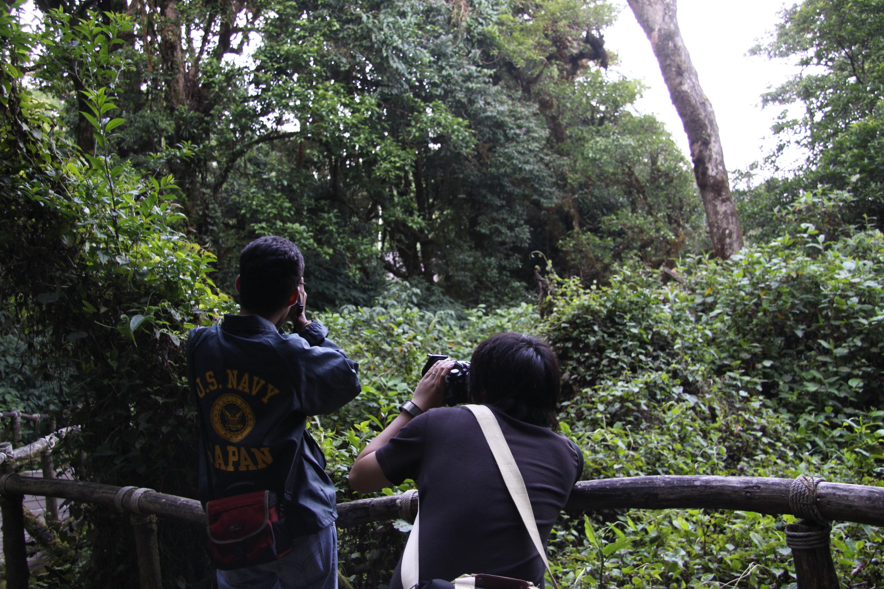 Photo Camp Survey 2009