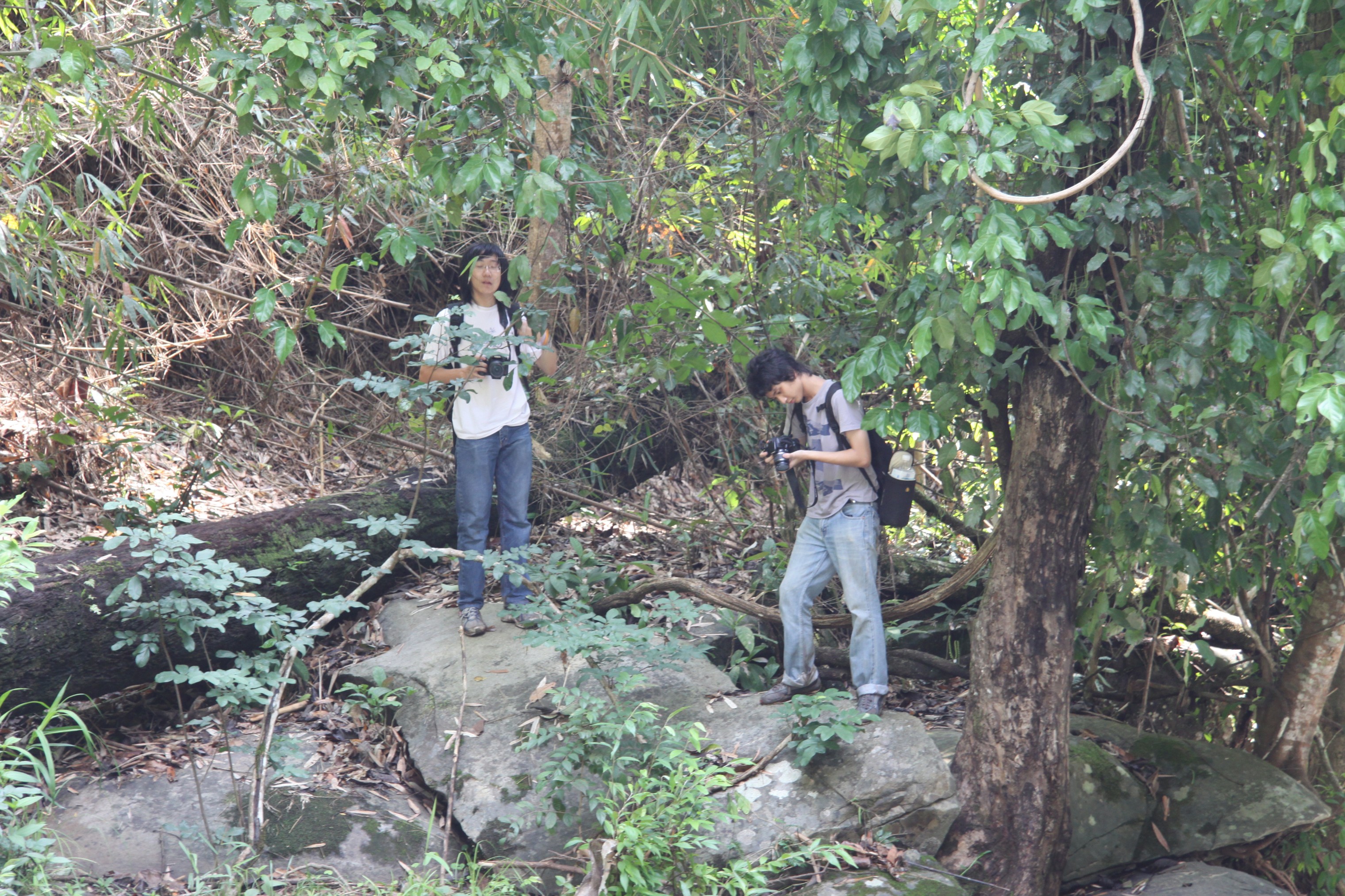 Photo Camp Survey 2009