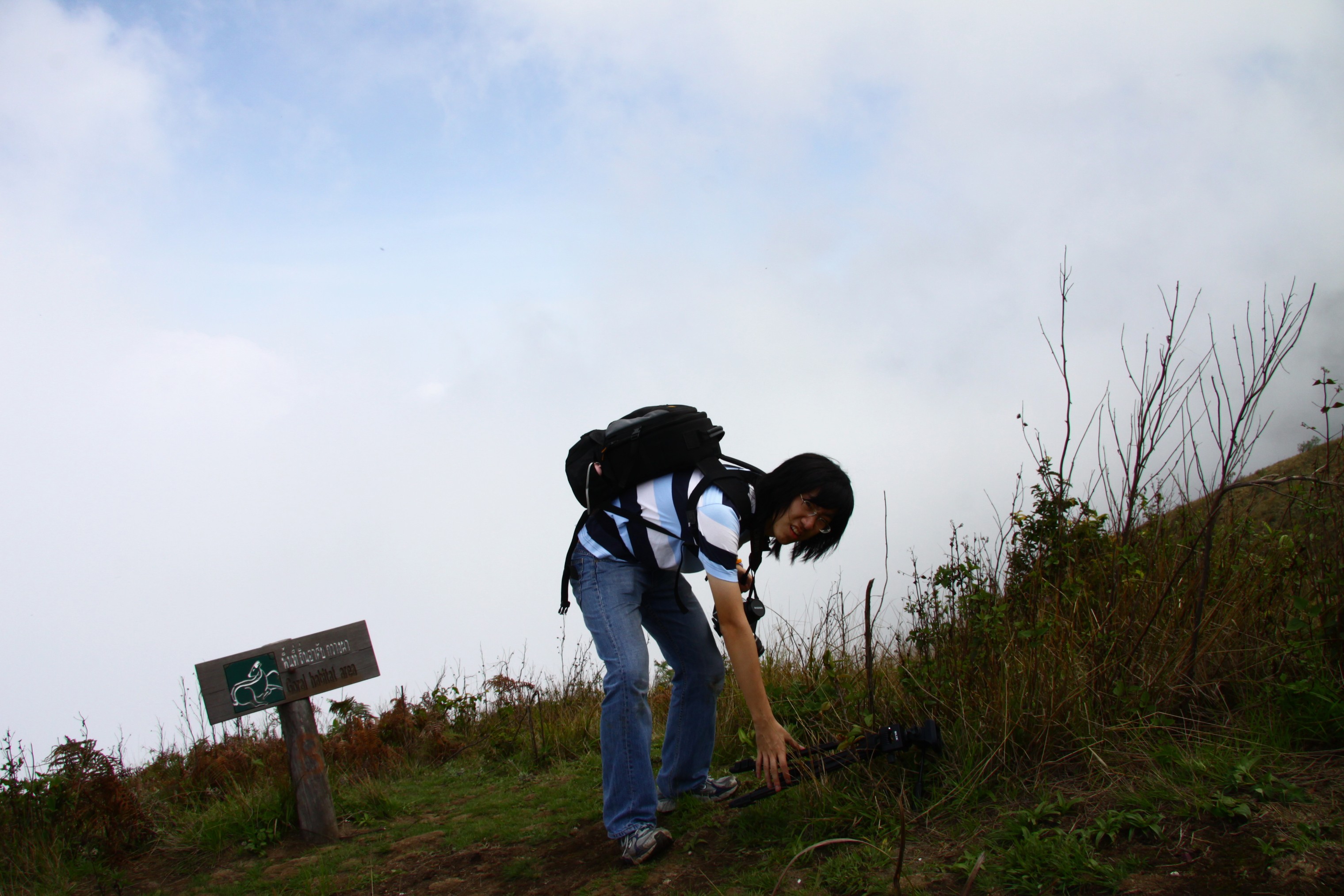 Photo Camp Survey 2009