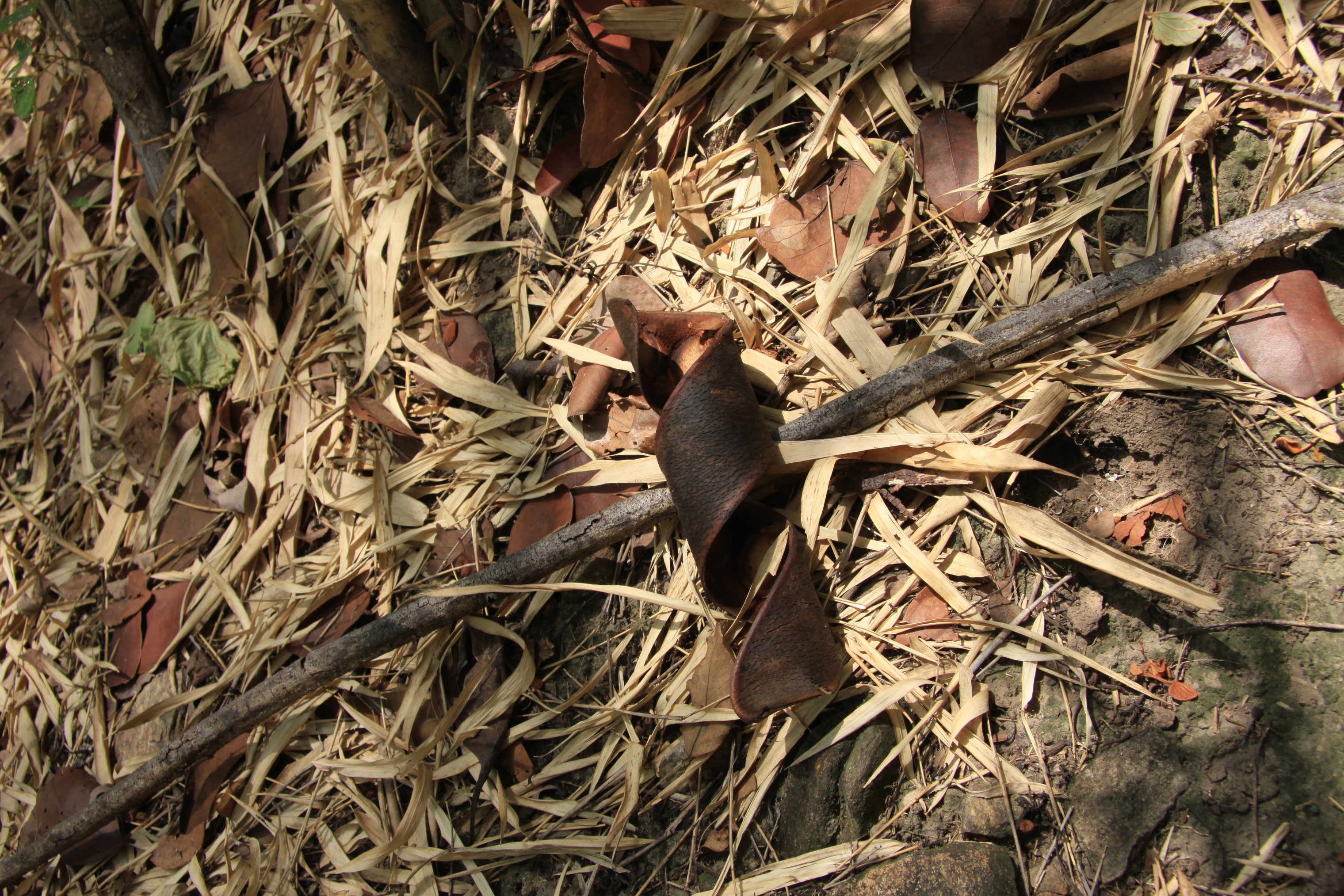 Photo Camp Survey 2009
