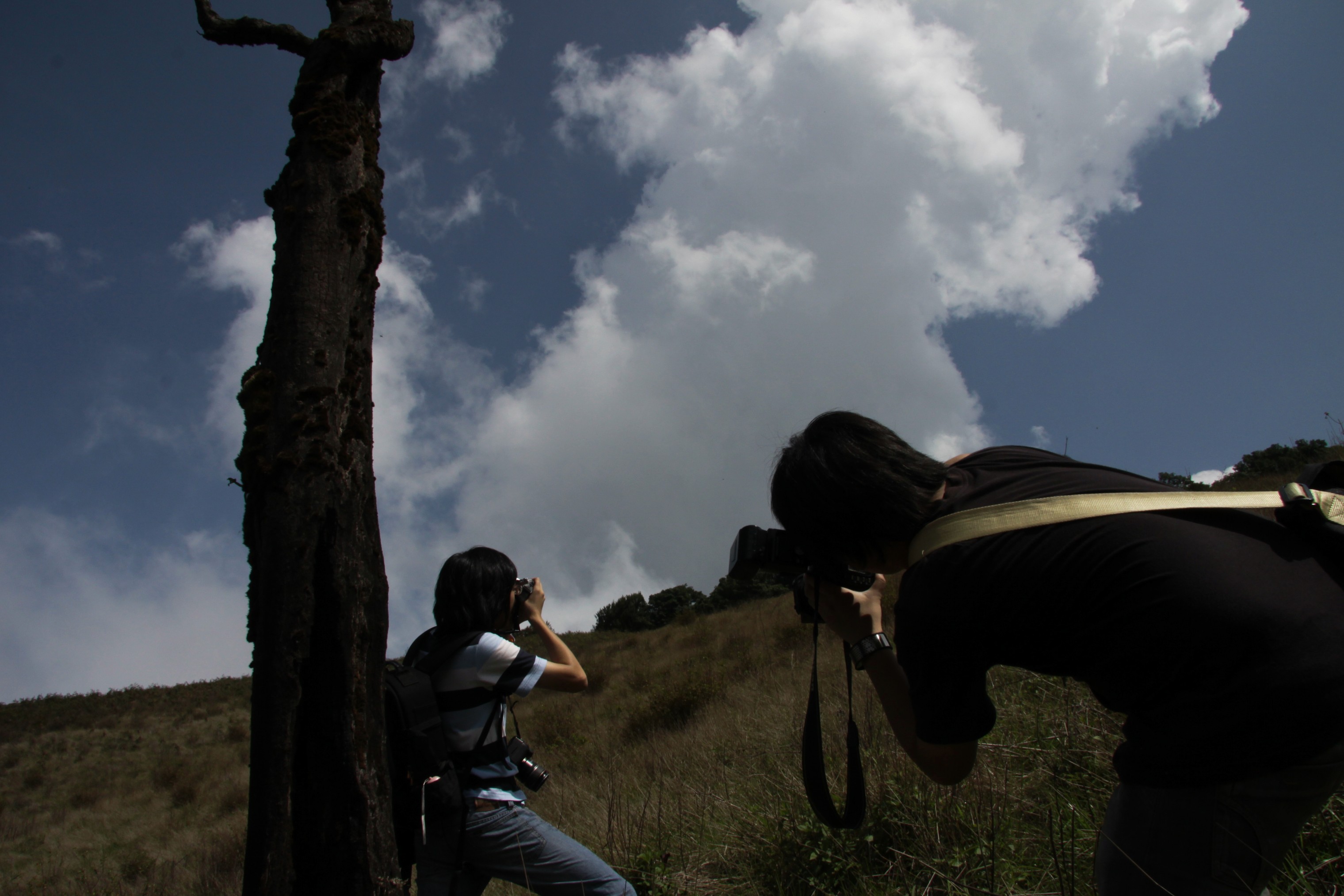 Photo Camp Survey 2009