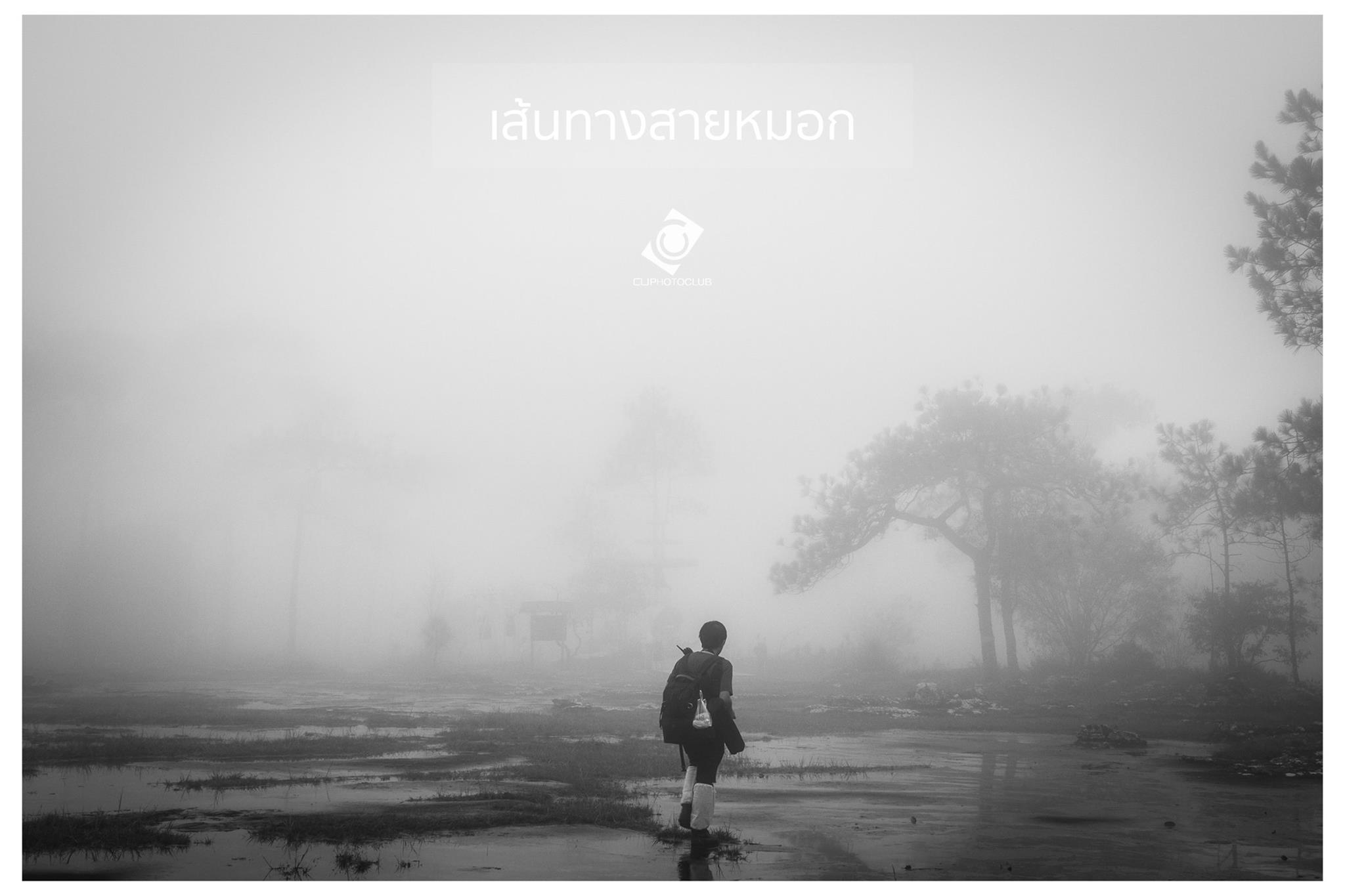 15 สิ่งไม่ควรพลาด เมื่อไปเที่ยว ภูกระดึง
