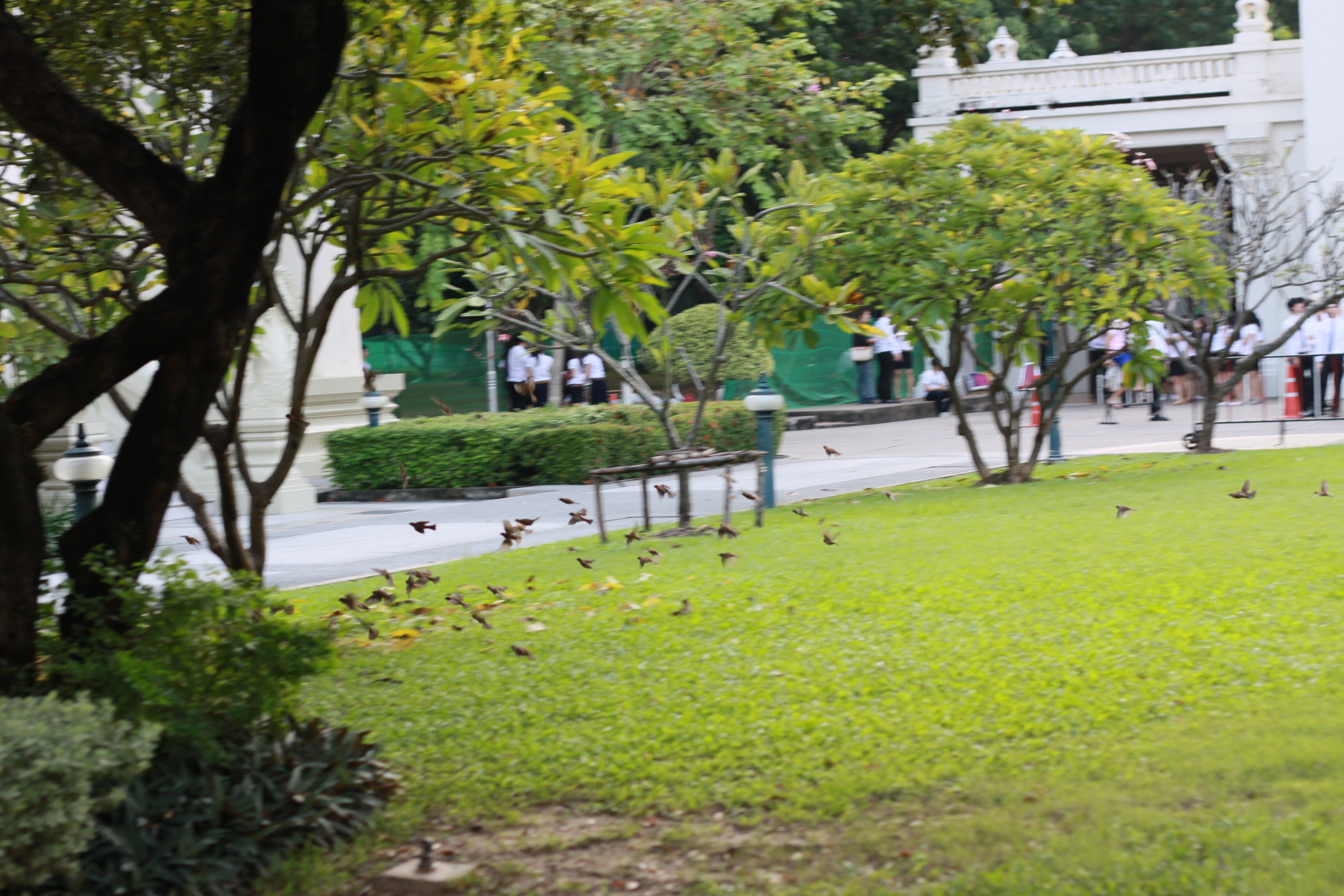 ผู้สมัครลีดจุฬา 2009