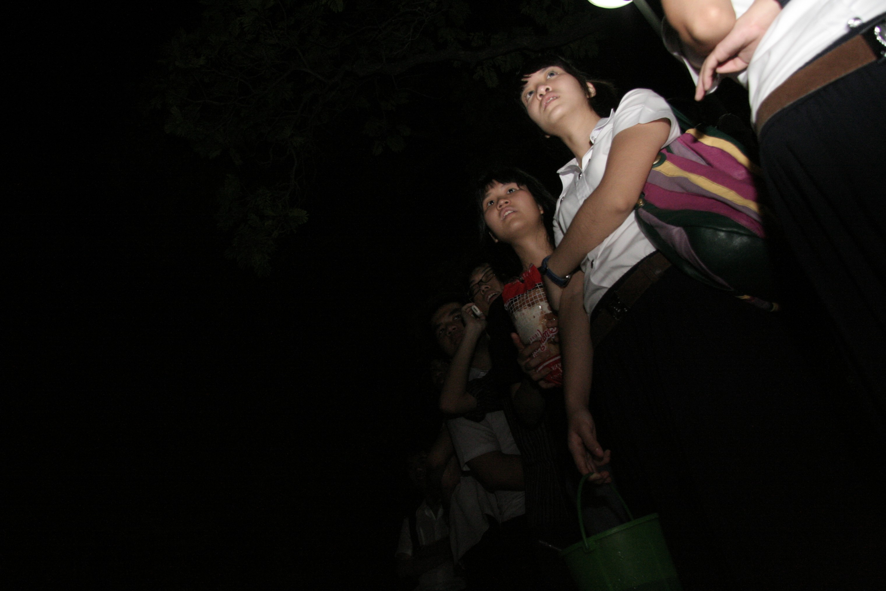 ลอยกระทง Festival 2008