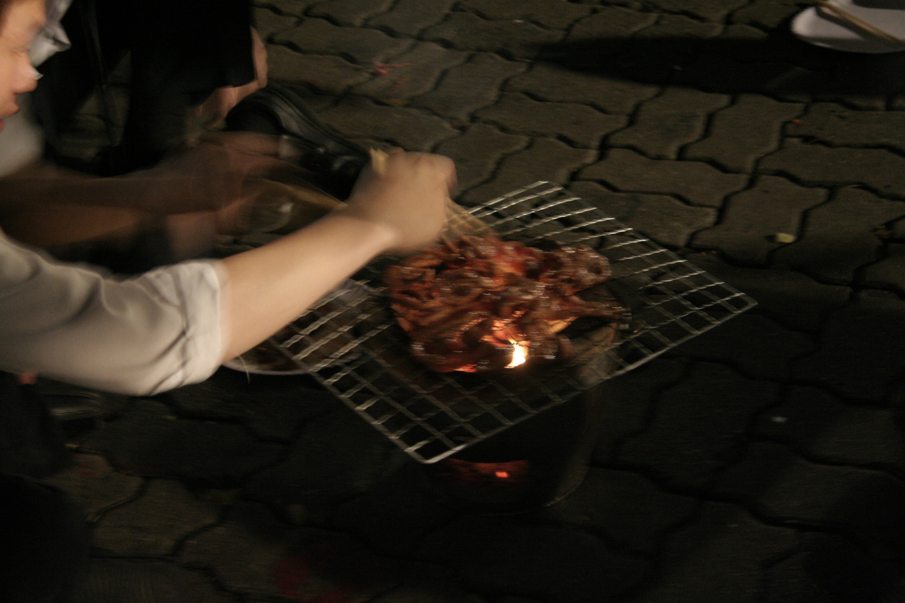 ลอยกระทง Festival 2008