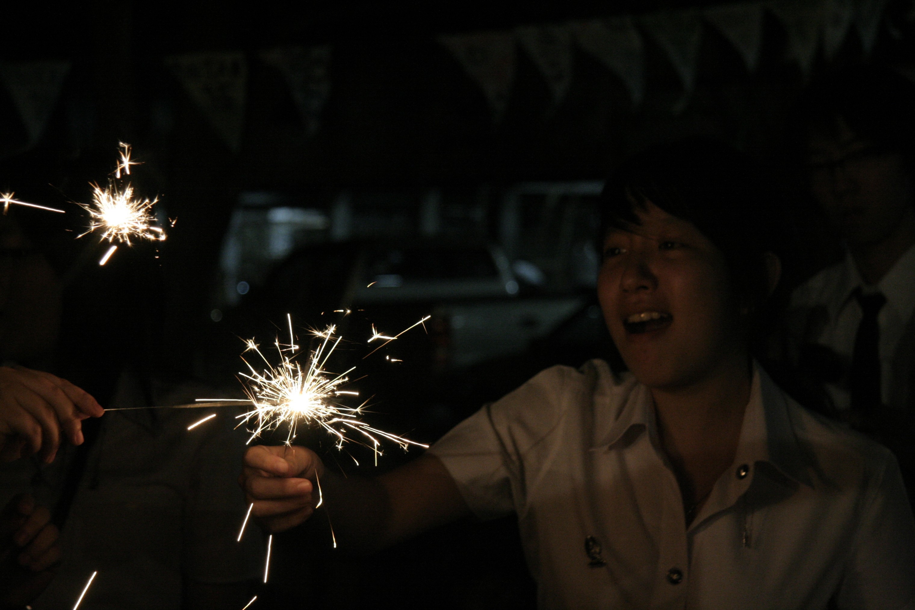 ลอยกระทง Festival 2008