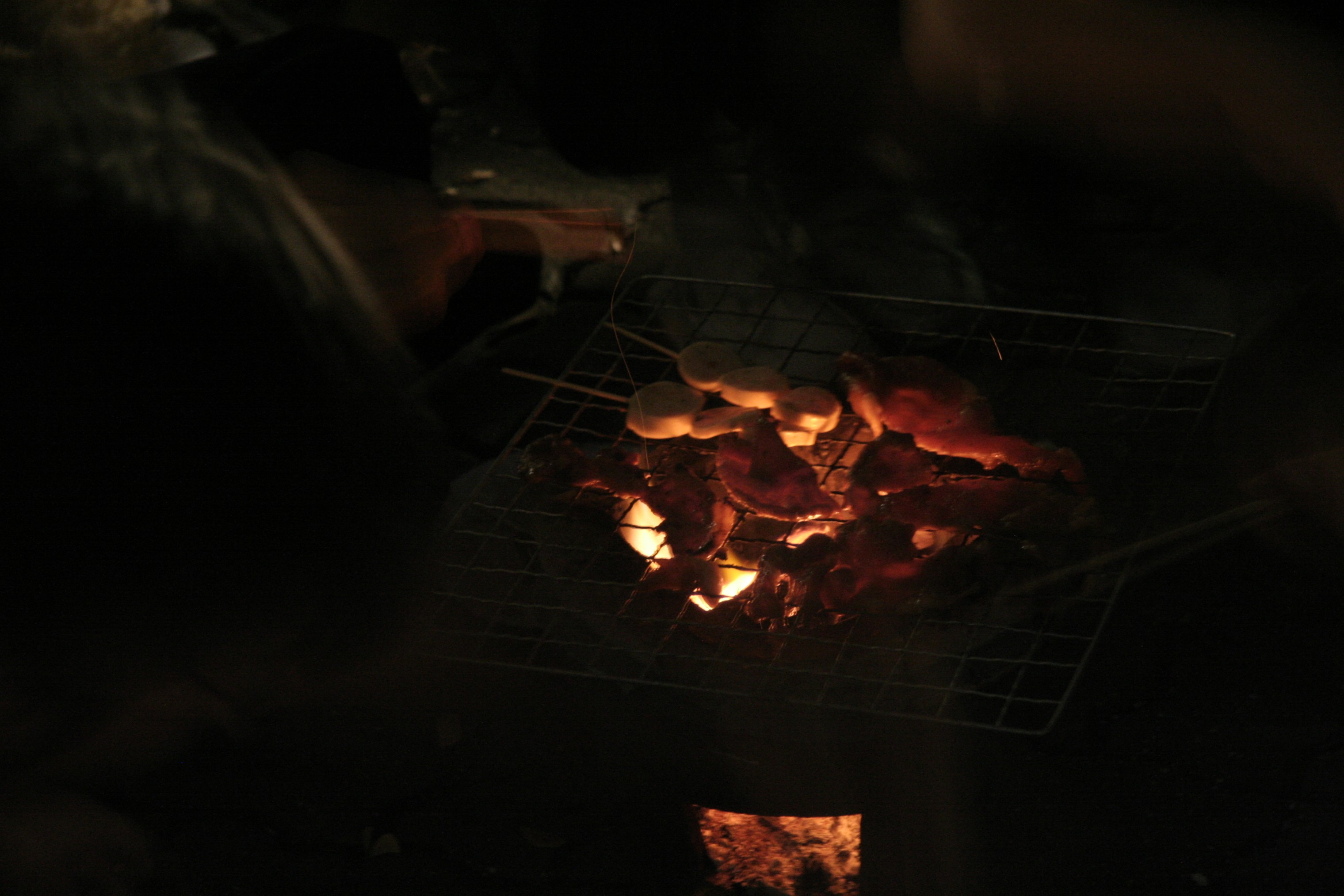 ลอยกระทง Festival 2008