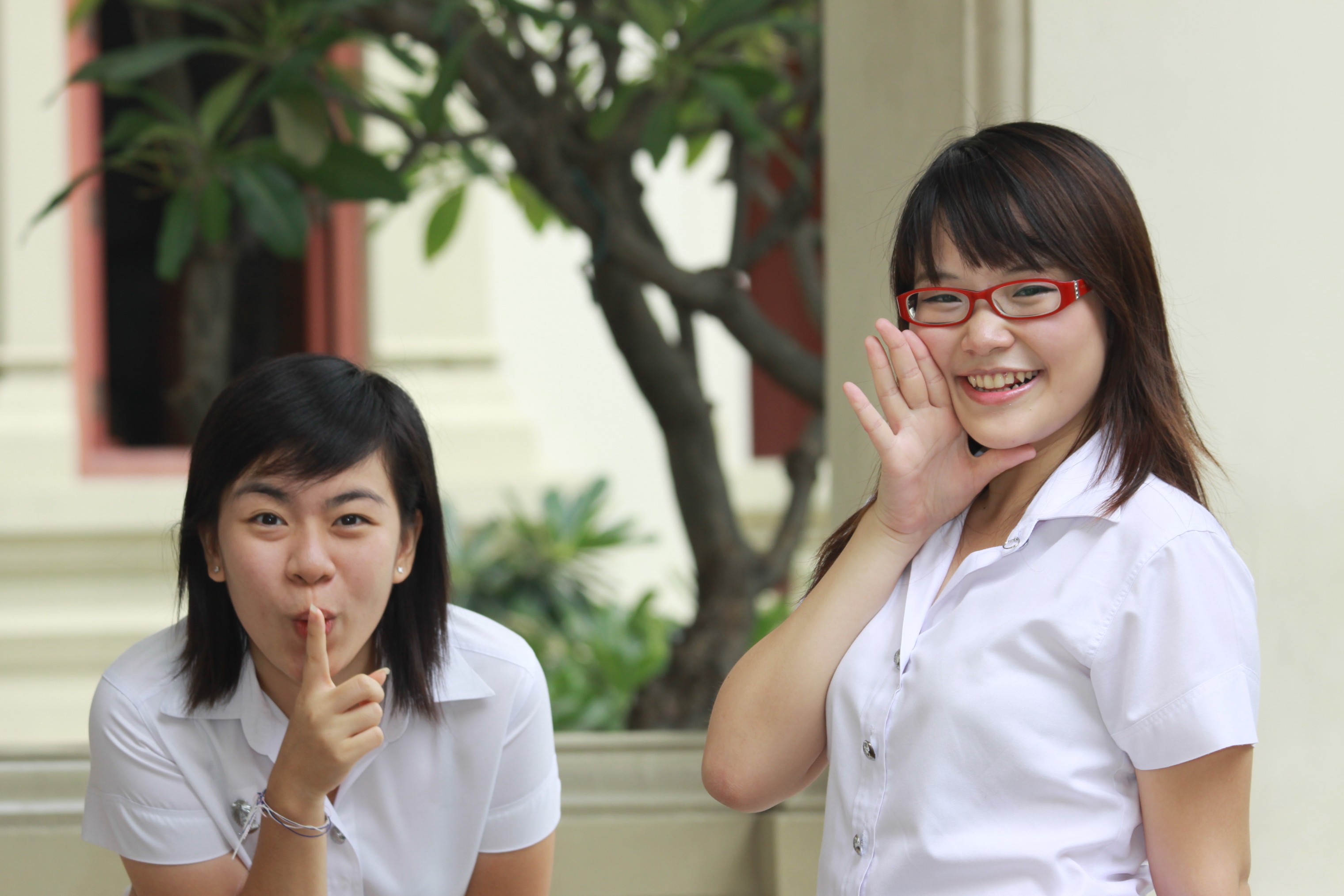 Board งานบอล
2009