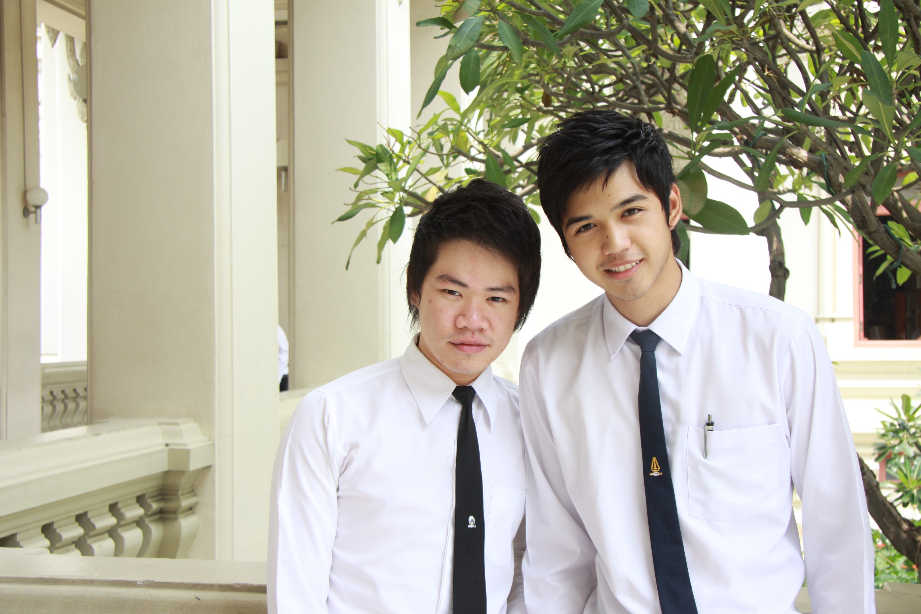 Board งานบอล
2009