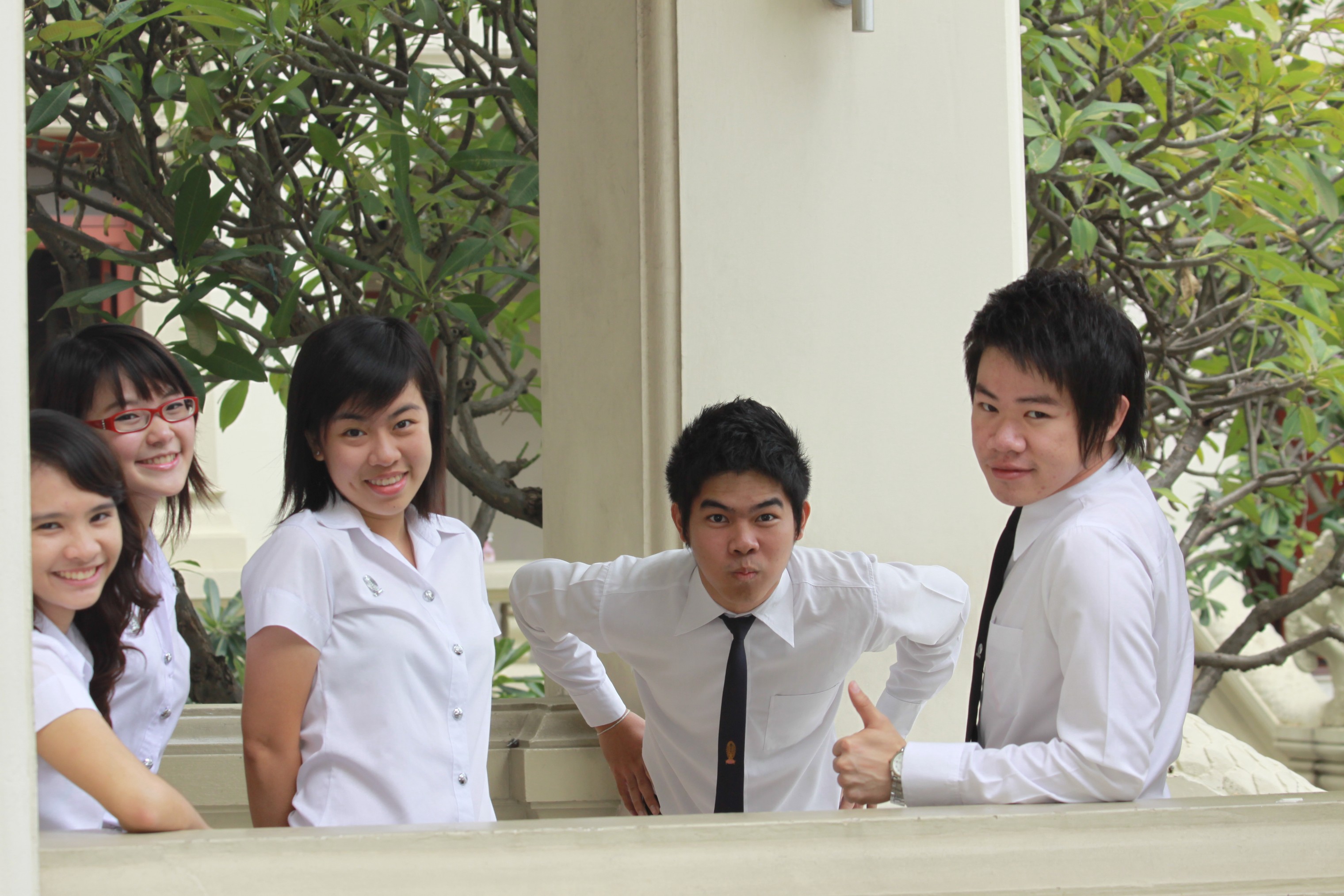 Board งานบอล
2009