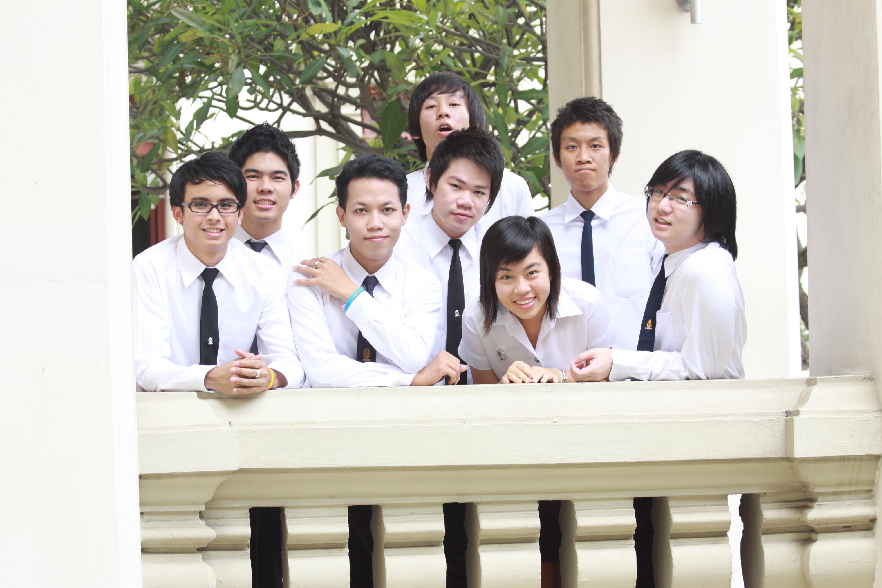 Board งานบอล
2009