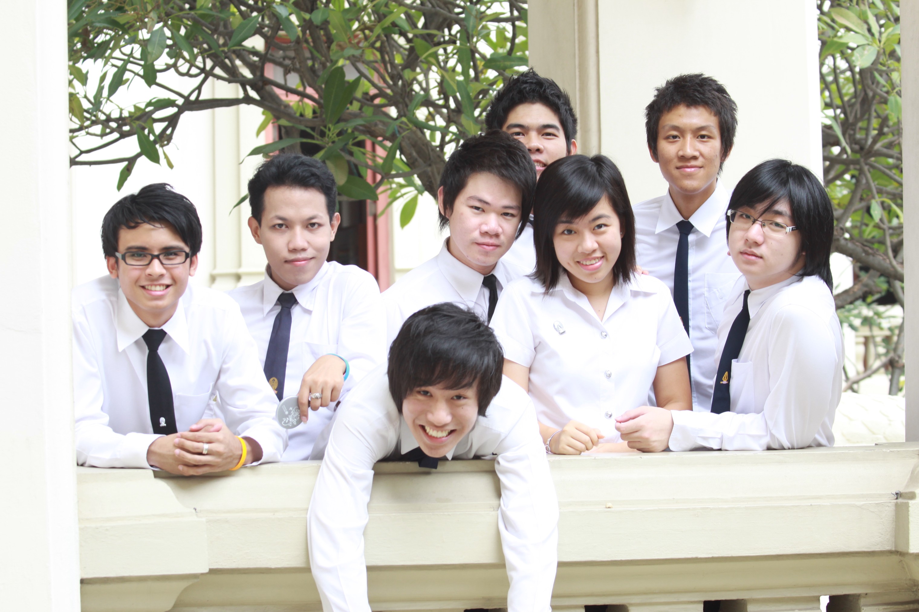 Board งานบอล
2009