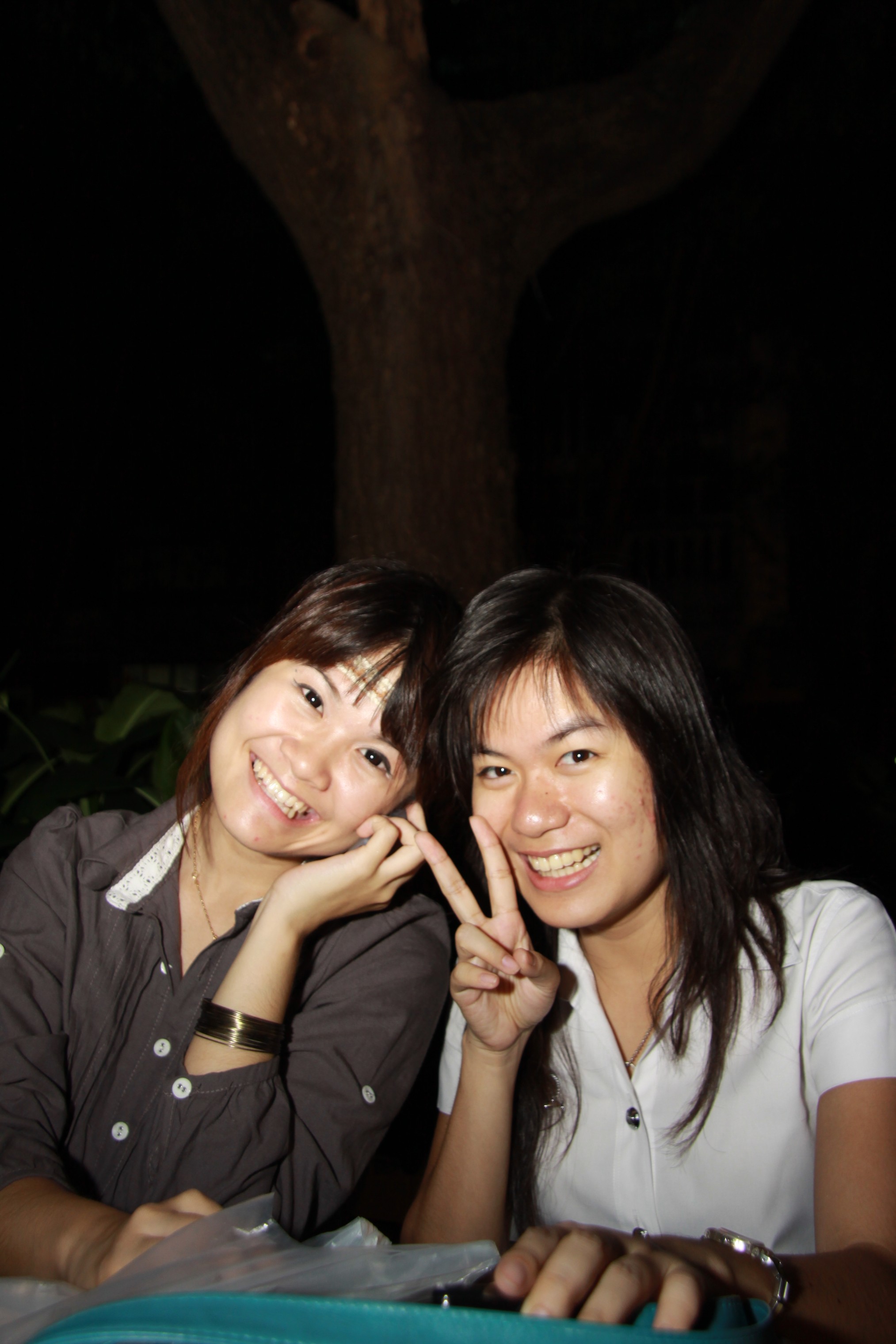 งานลอยกระทง 2009