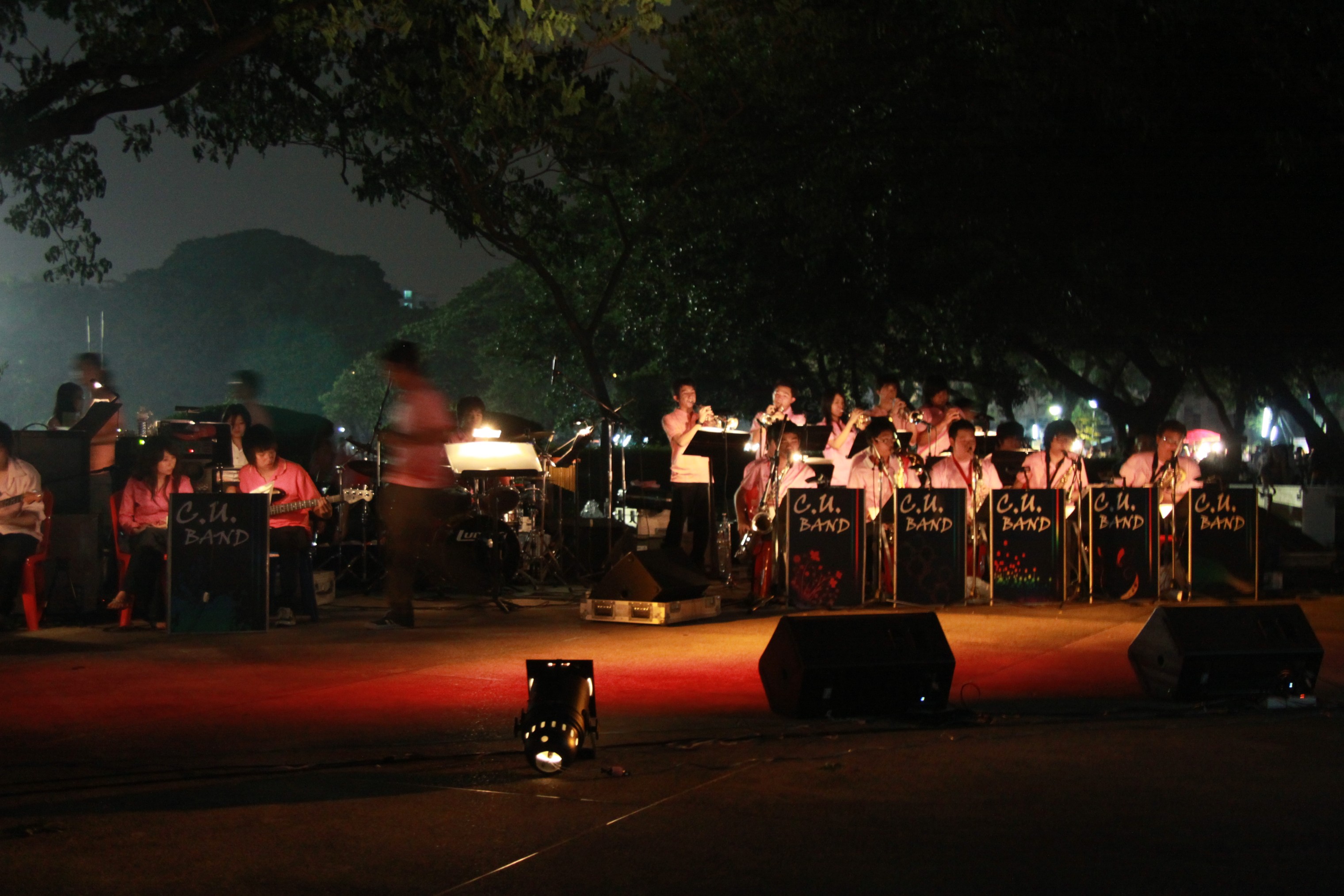 งานลอยกระทง 2009