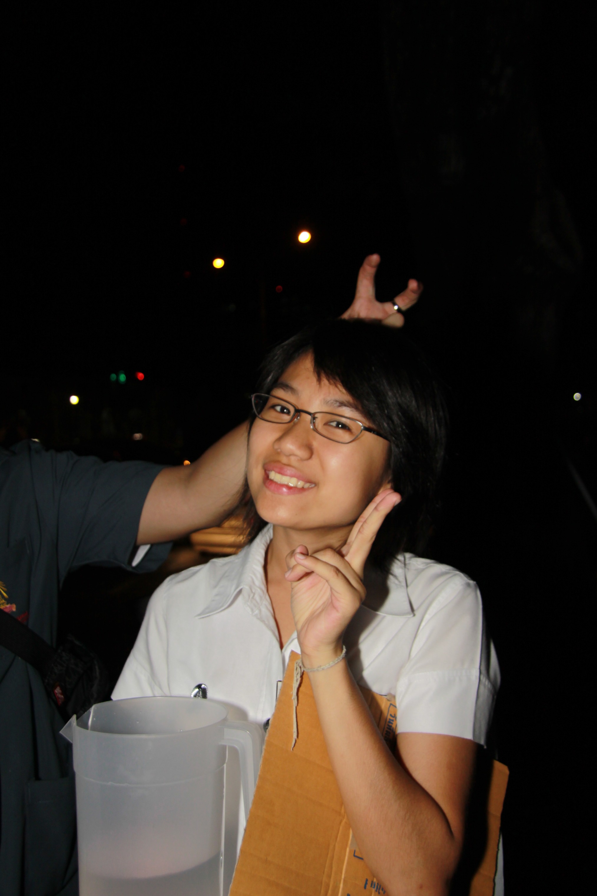 งานลอยกระทง 2009