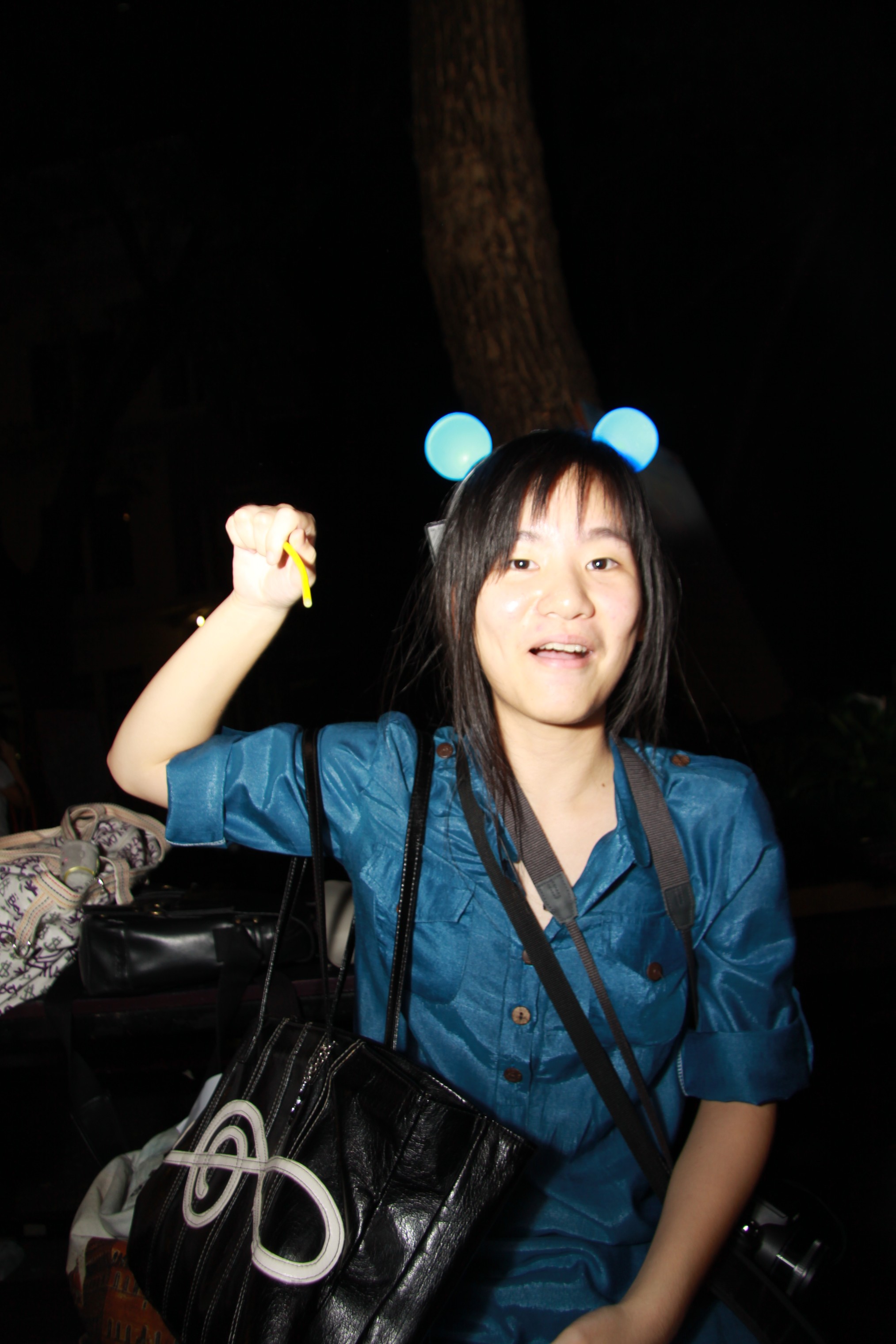 งานลอยกระทง 2009