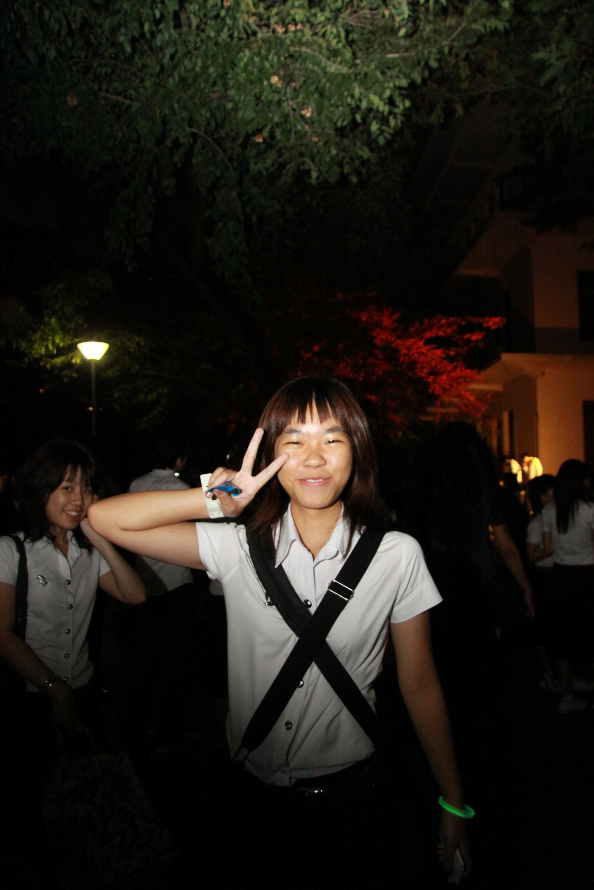 งานลอยกระทง 2009