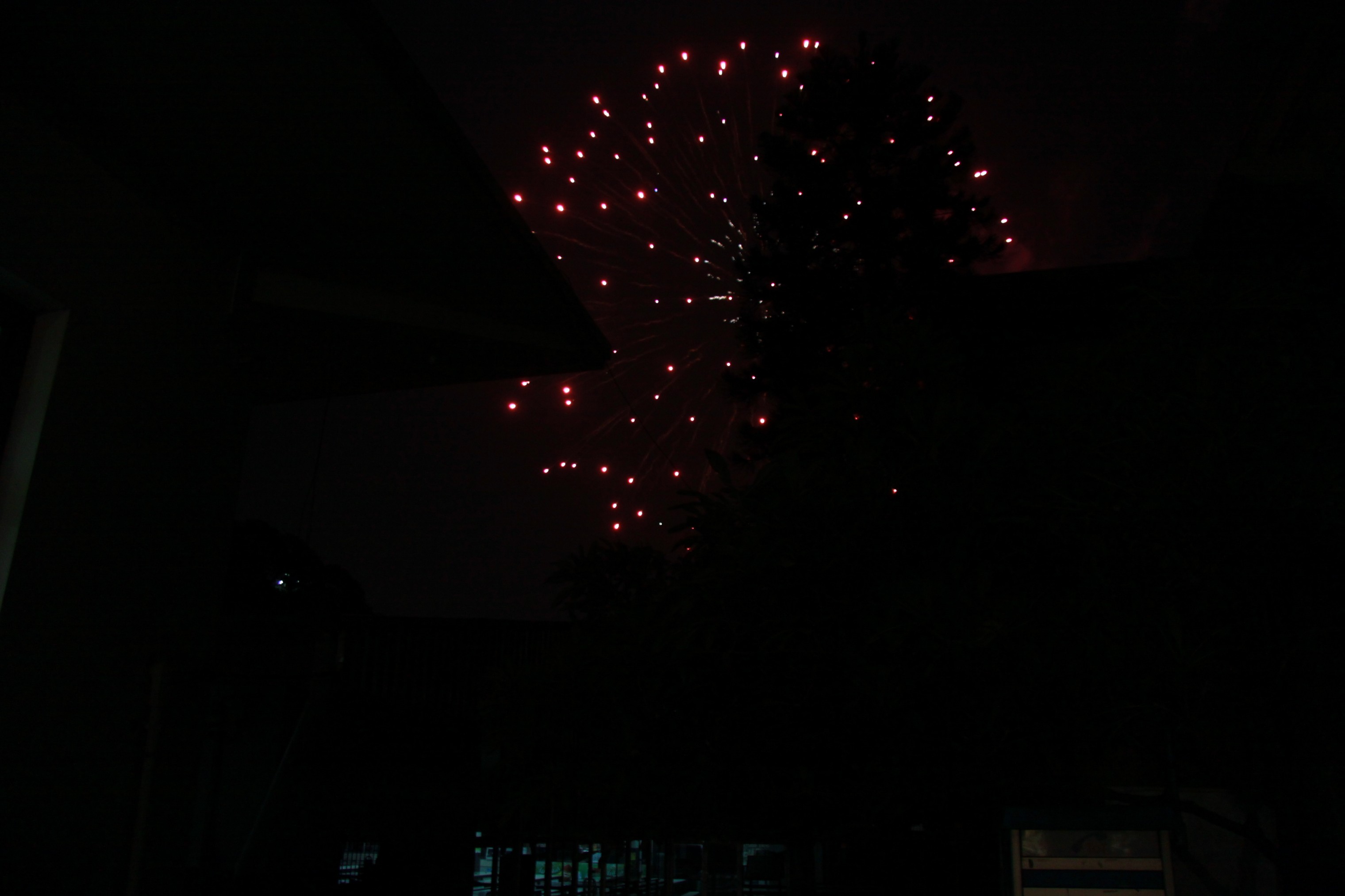 งานลอยกระทง 2009