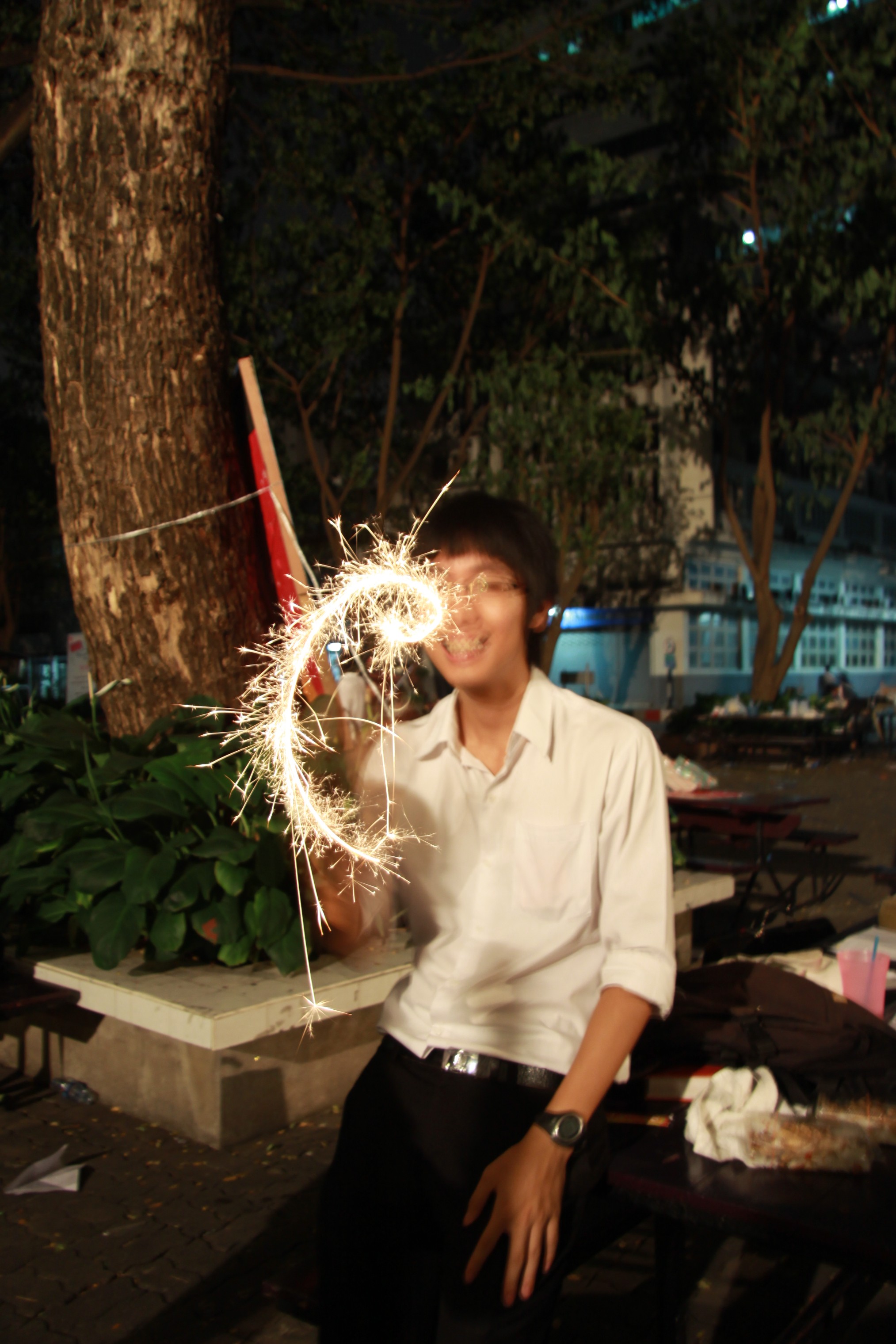 งานลอยกระทง 2009