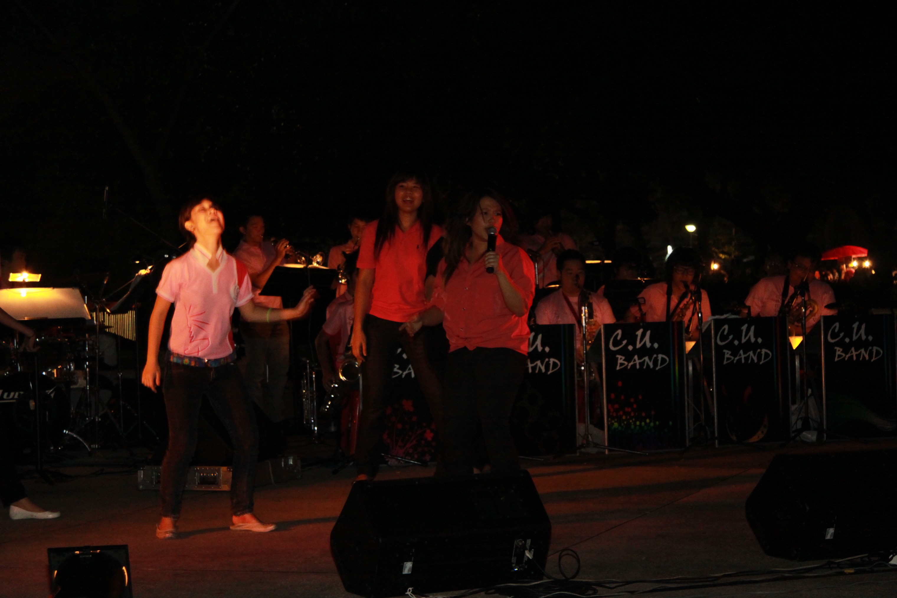 งานลอยกระทง 2009