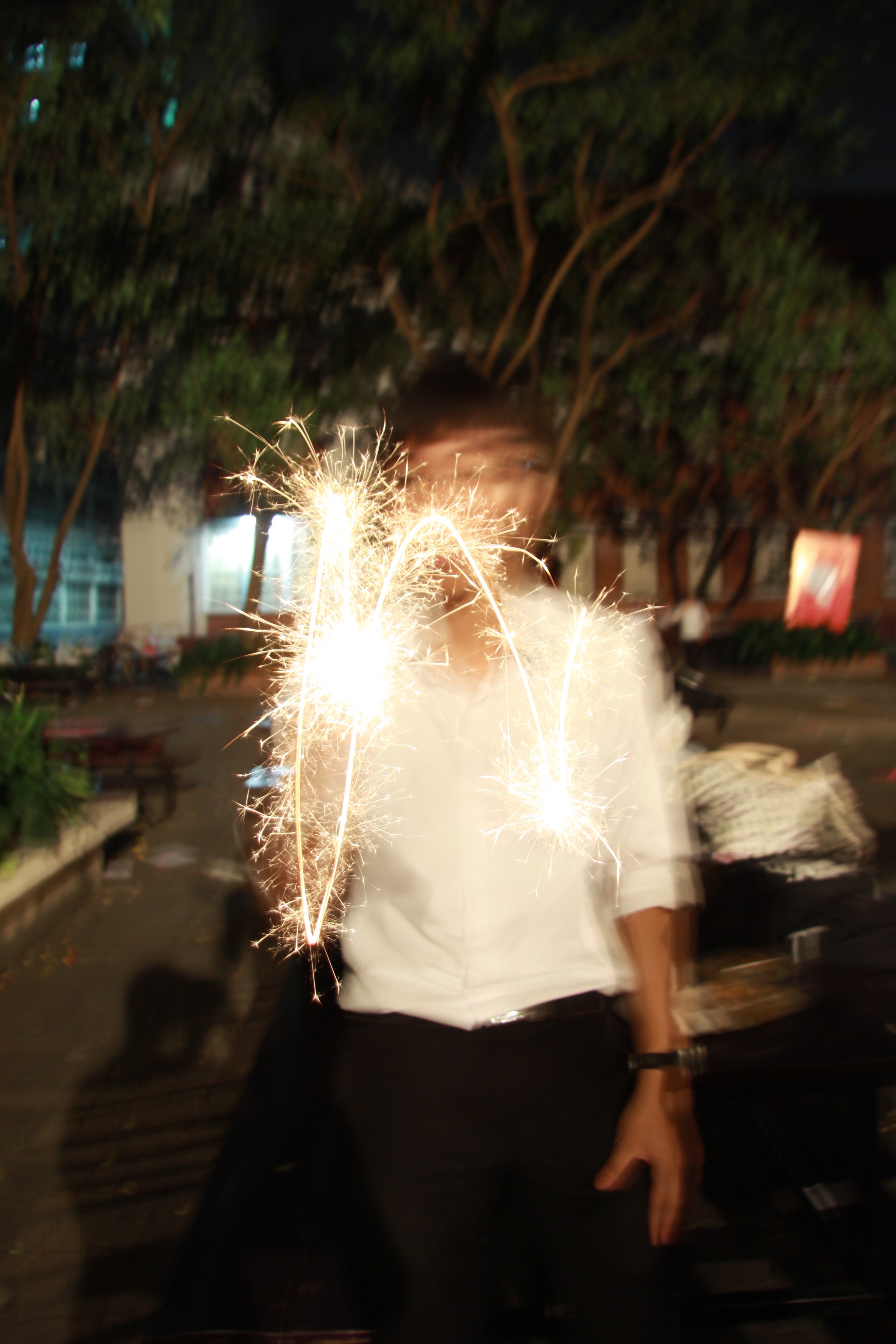 งานลอยกระทง 2009