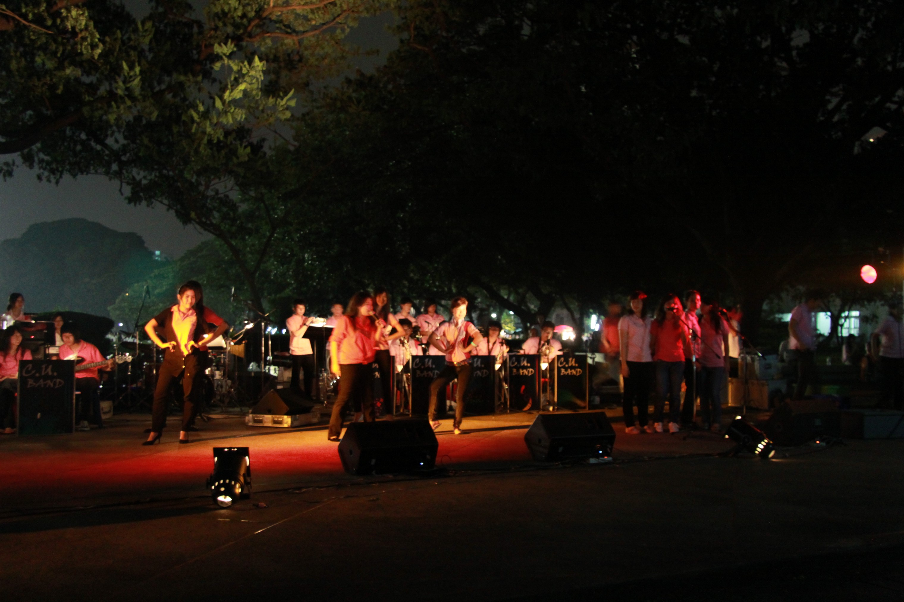 งานลอยกระทง 2009