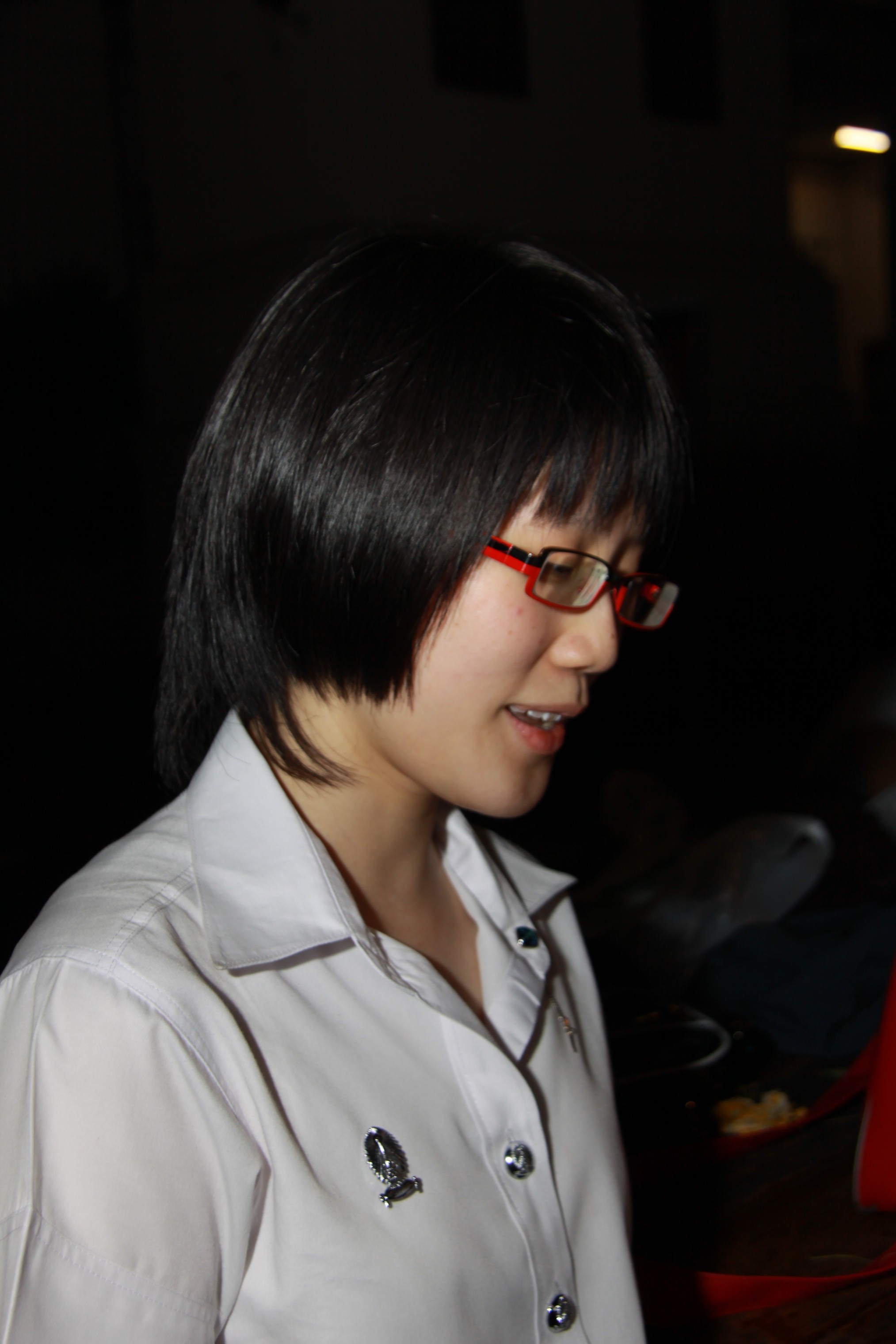 งานลอยกระทง 2009