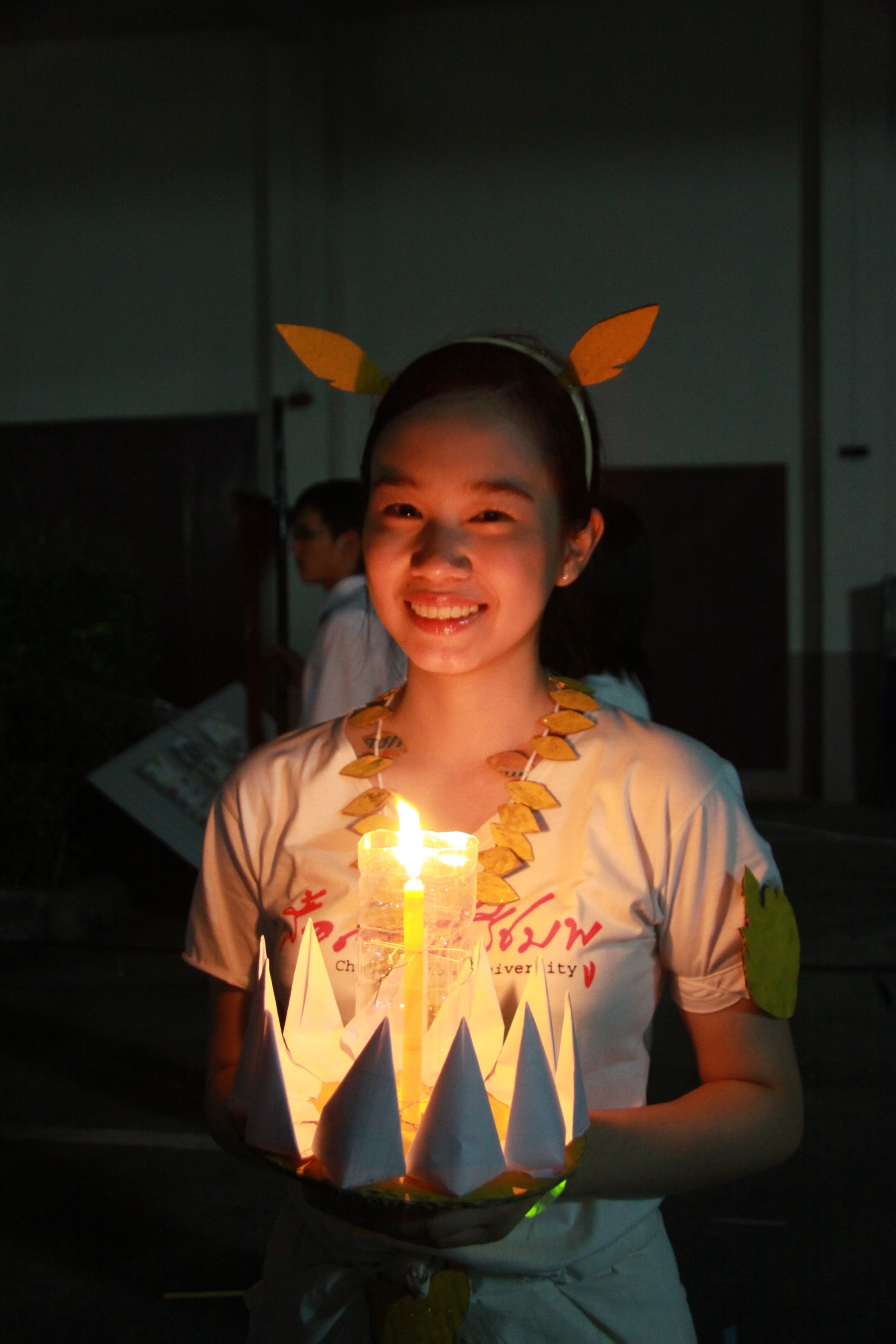 งานลอยกระทง 2009