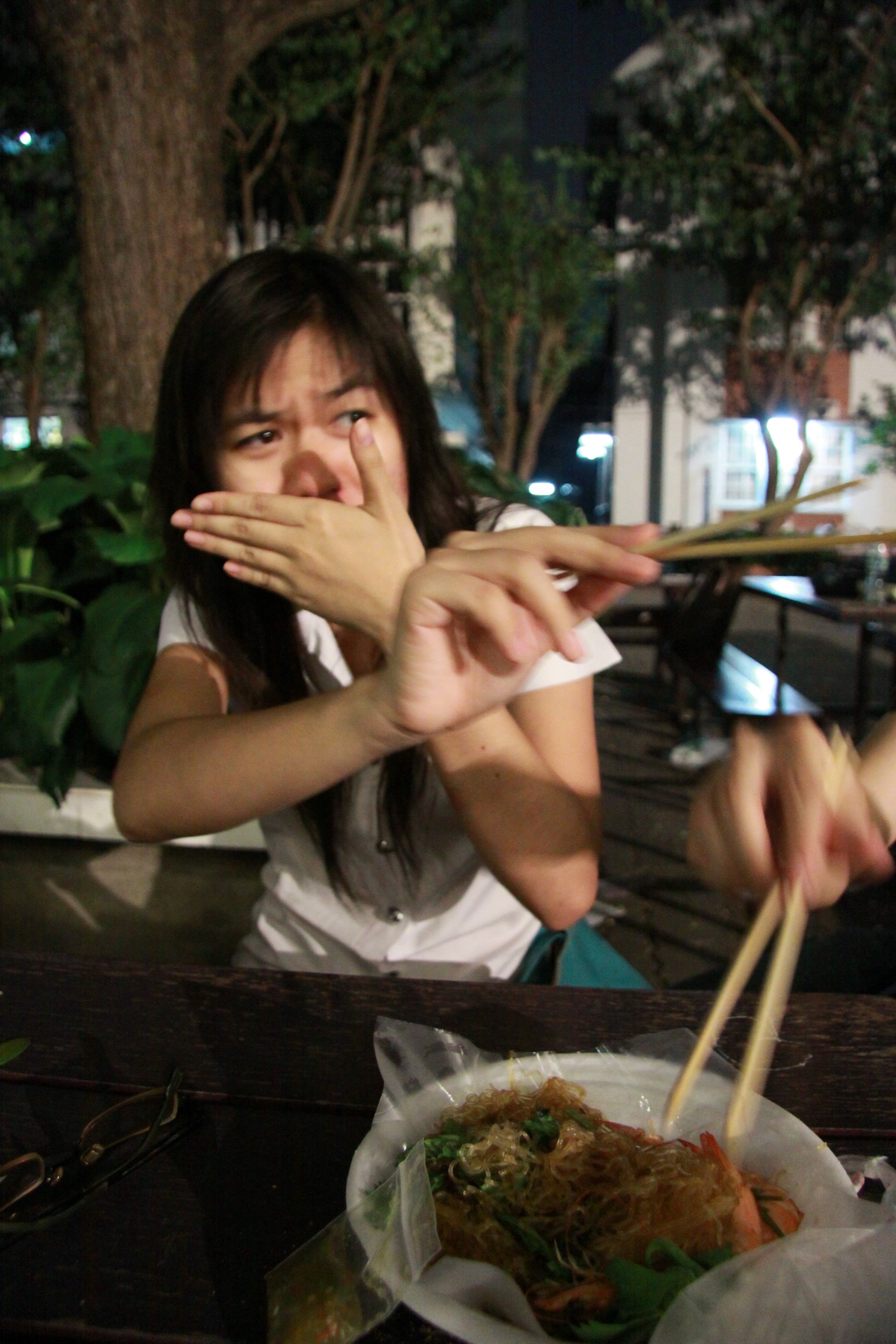งานลอยกระทง 2009