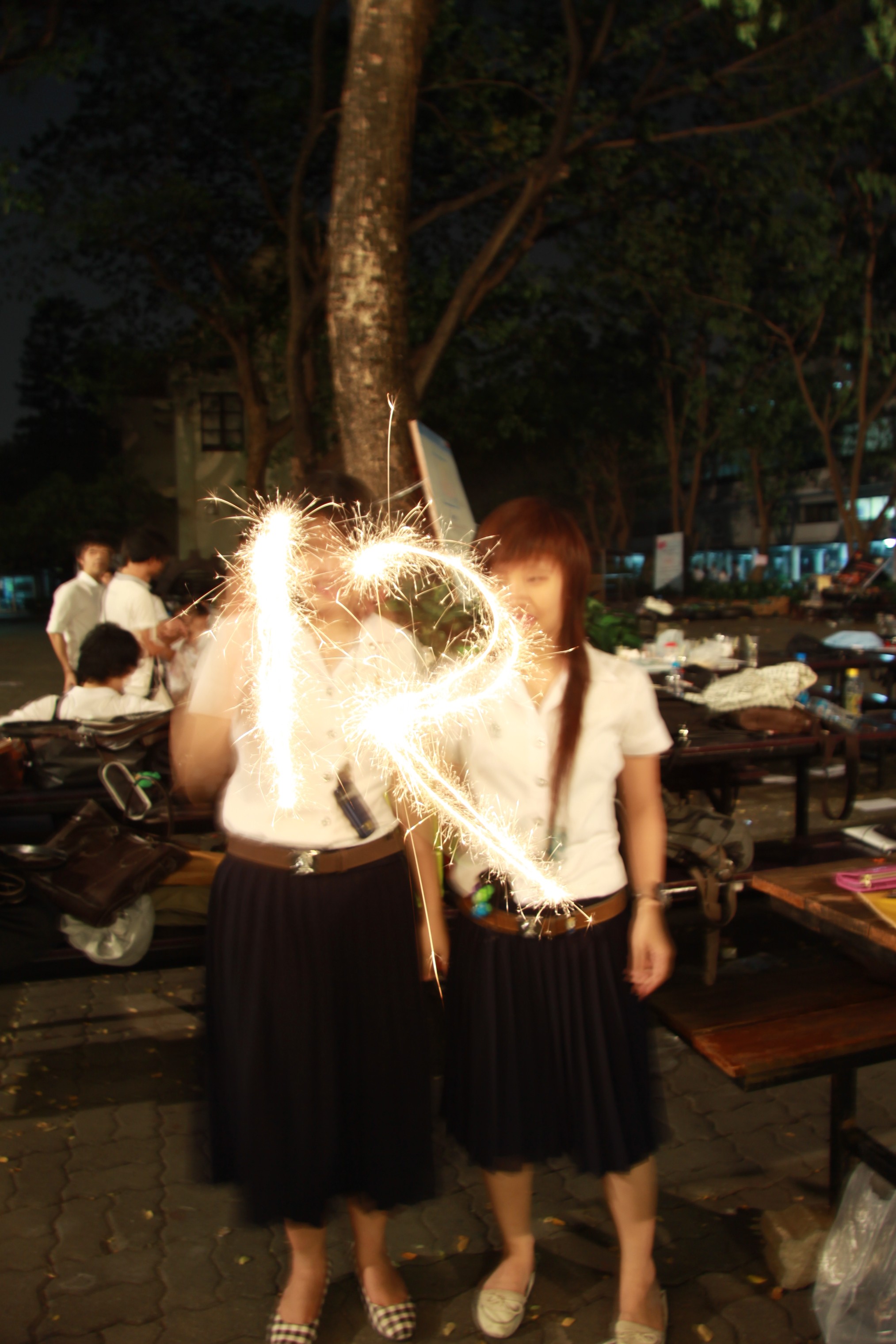 งานลอยกระทง 2009