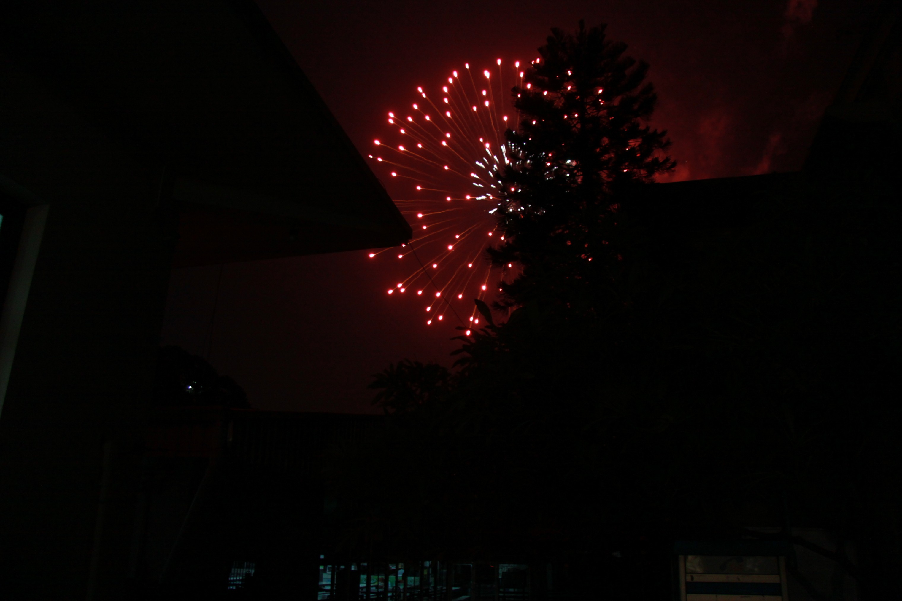 งานลอยกระทง 2009