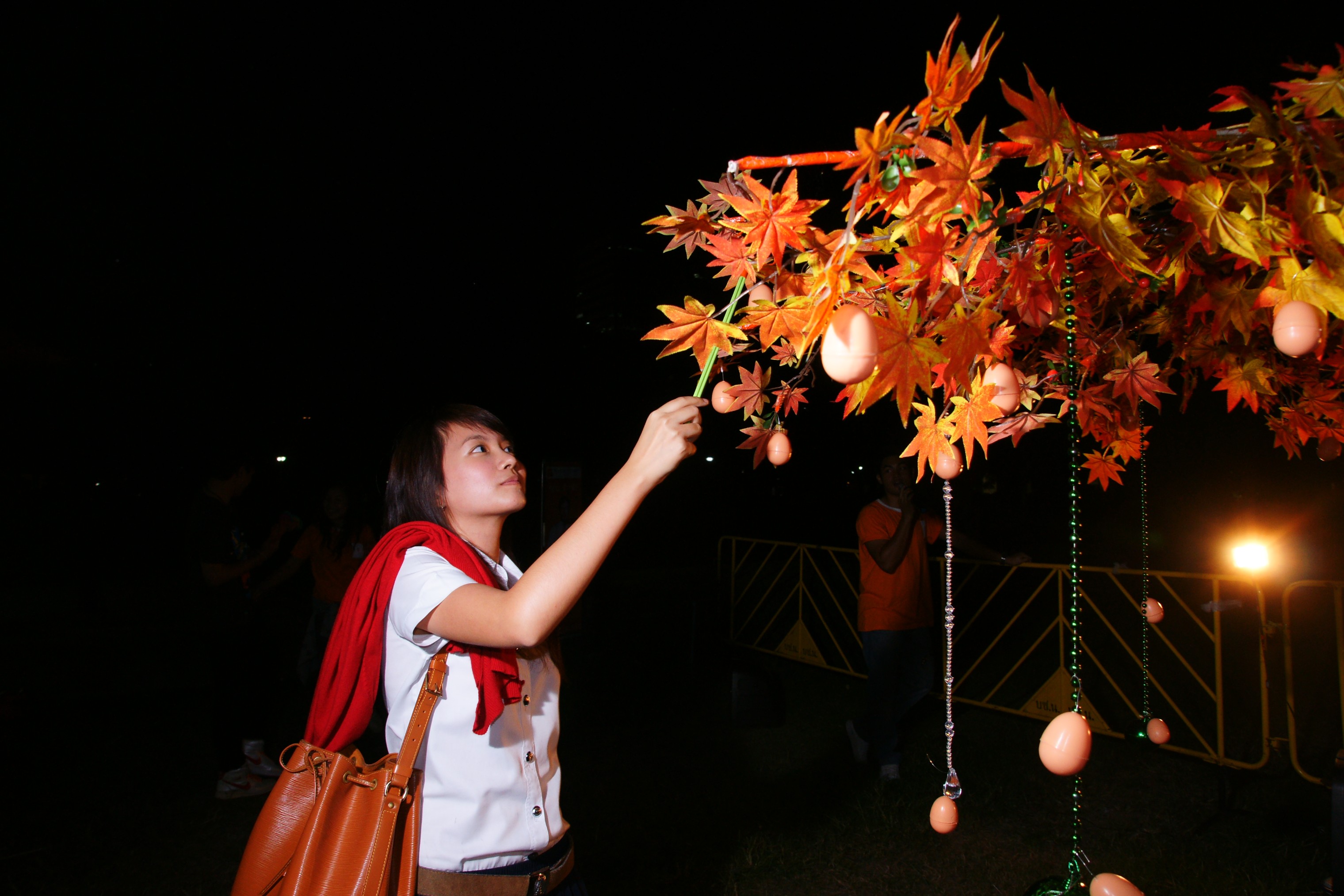 CU Music Festival
2009