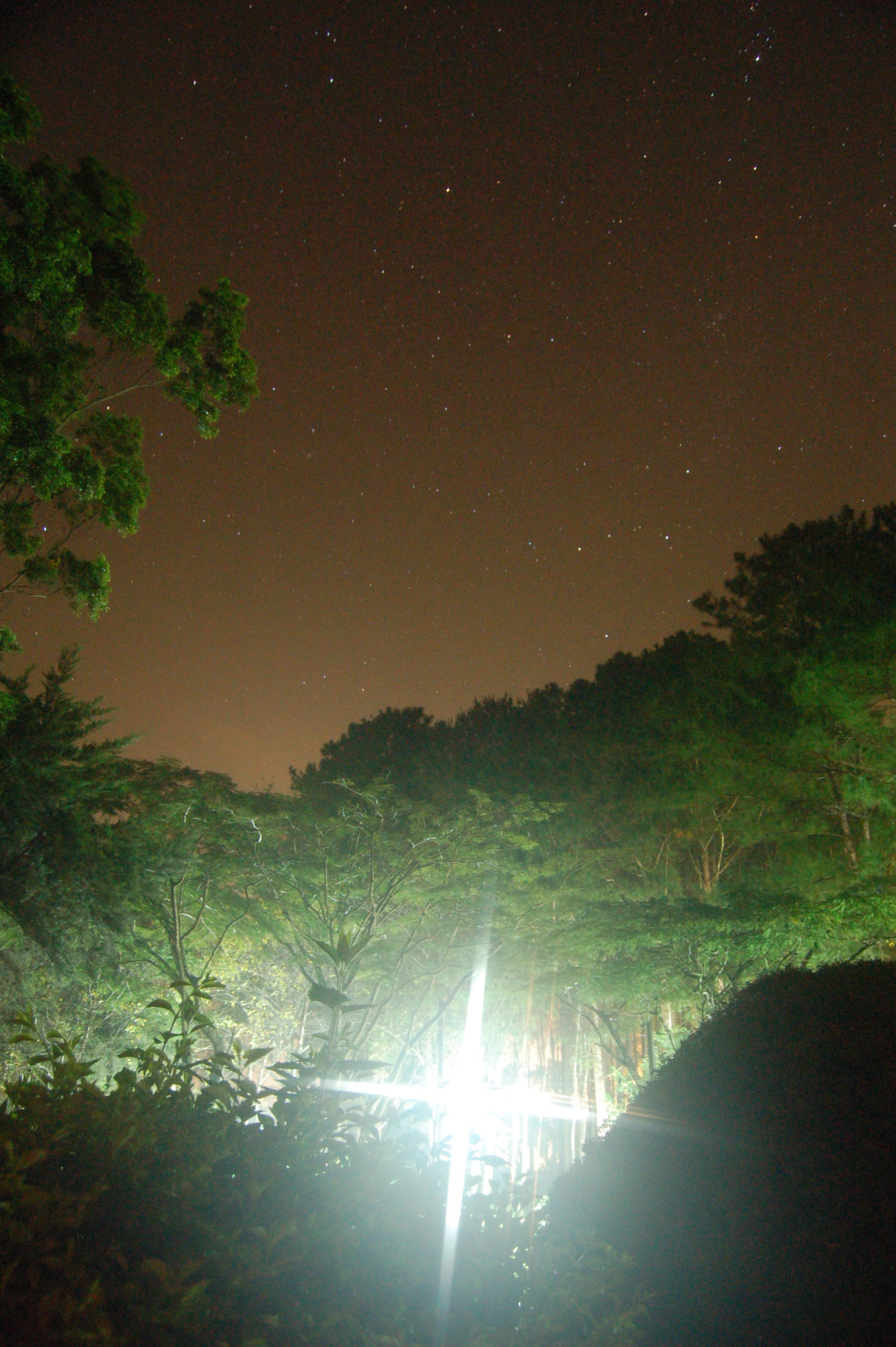 Photo Camp 2009