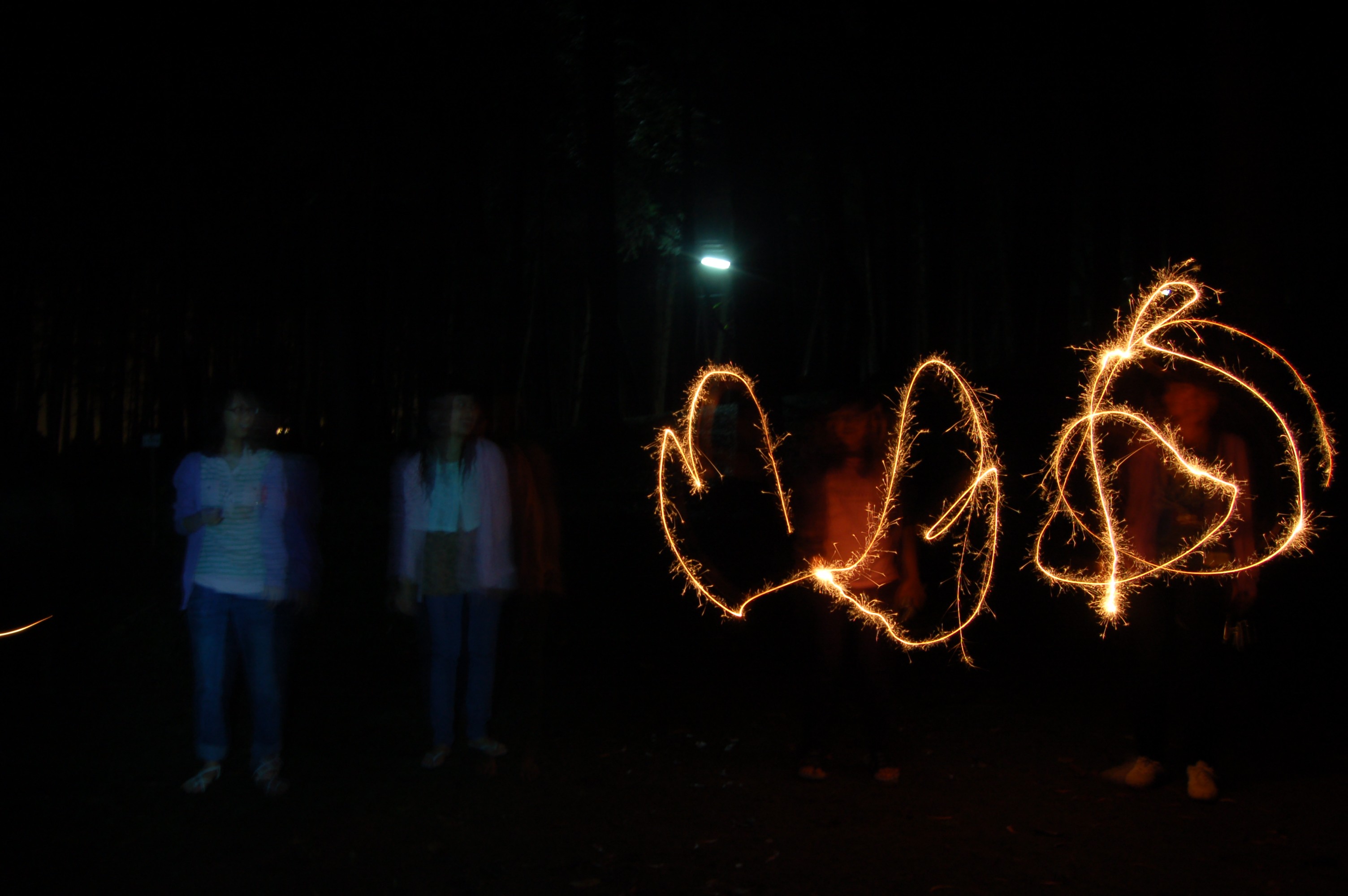 Photo Camp 2009