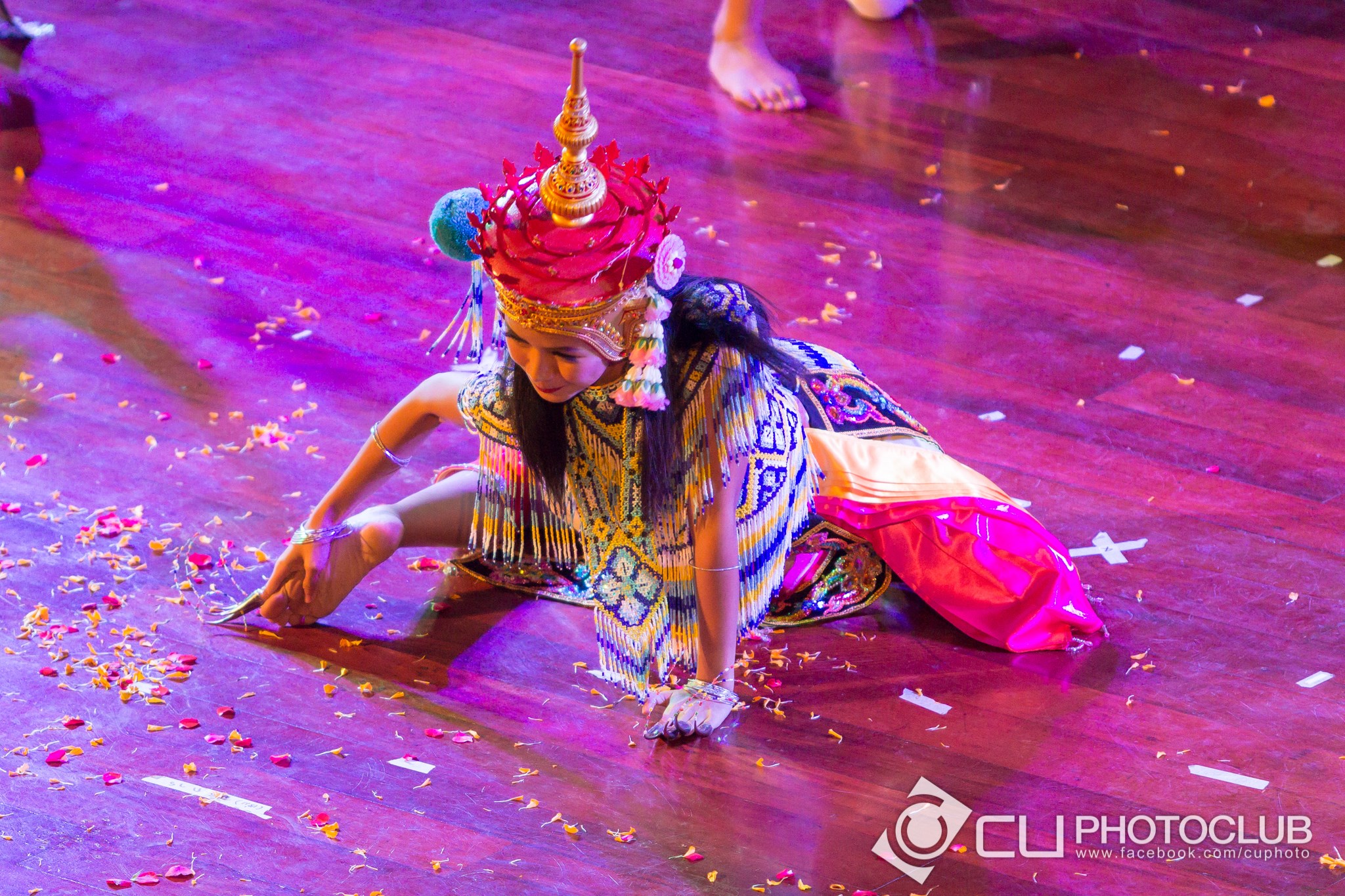สืบปณิธาน ประสานไทย
