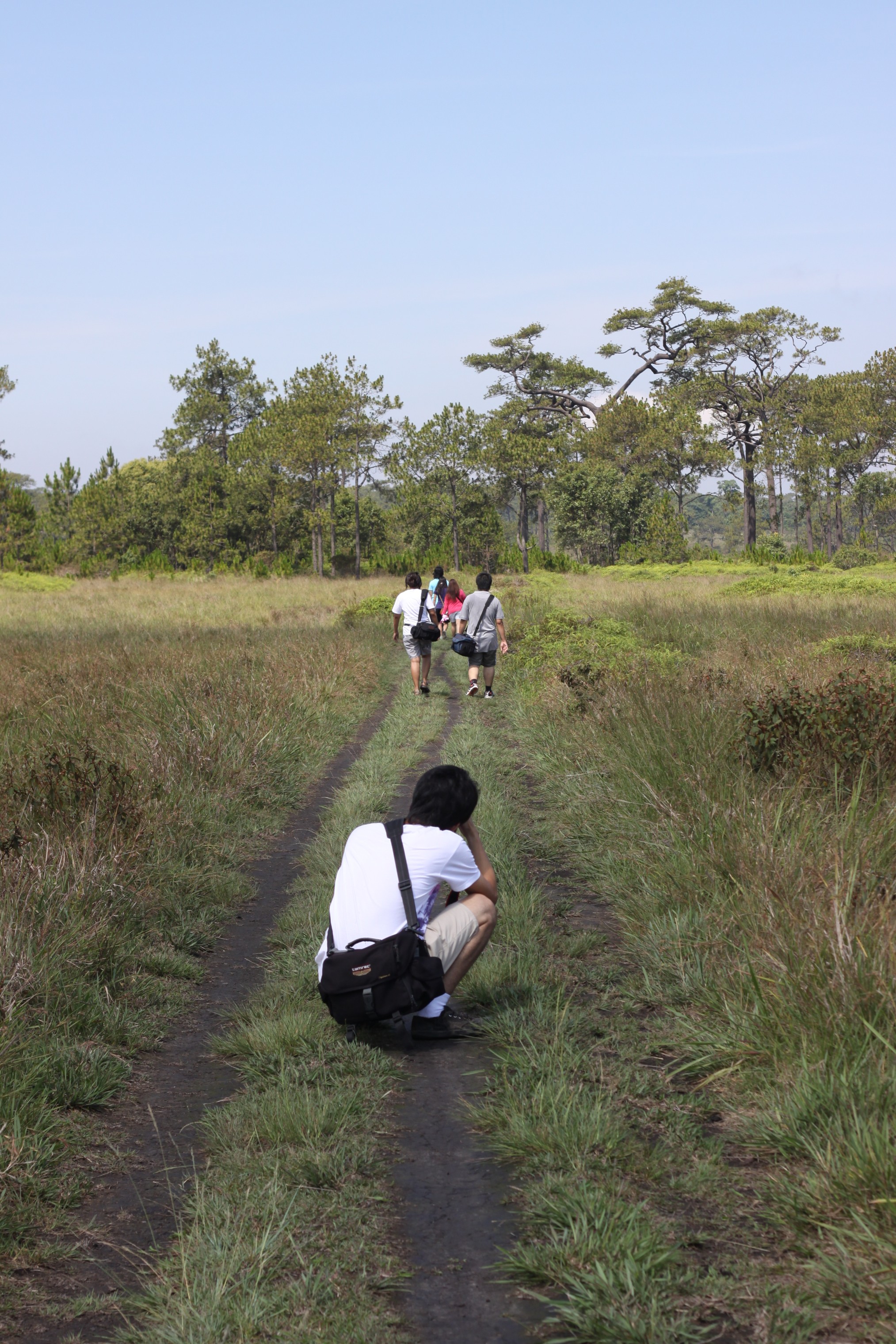 Photo Survey @ ภูกระดึง
