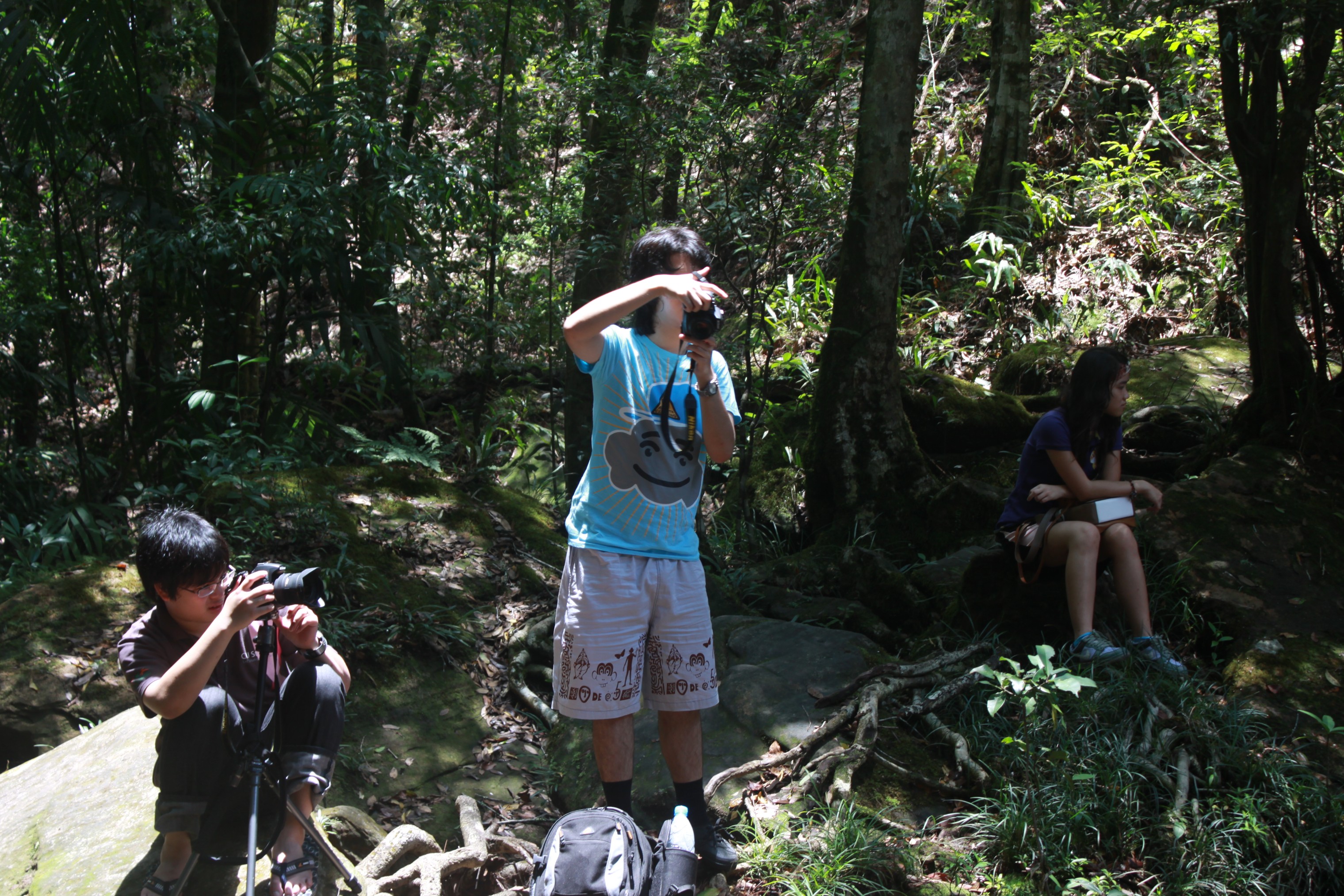 Photo Survey @ ภูกระดึง
