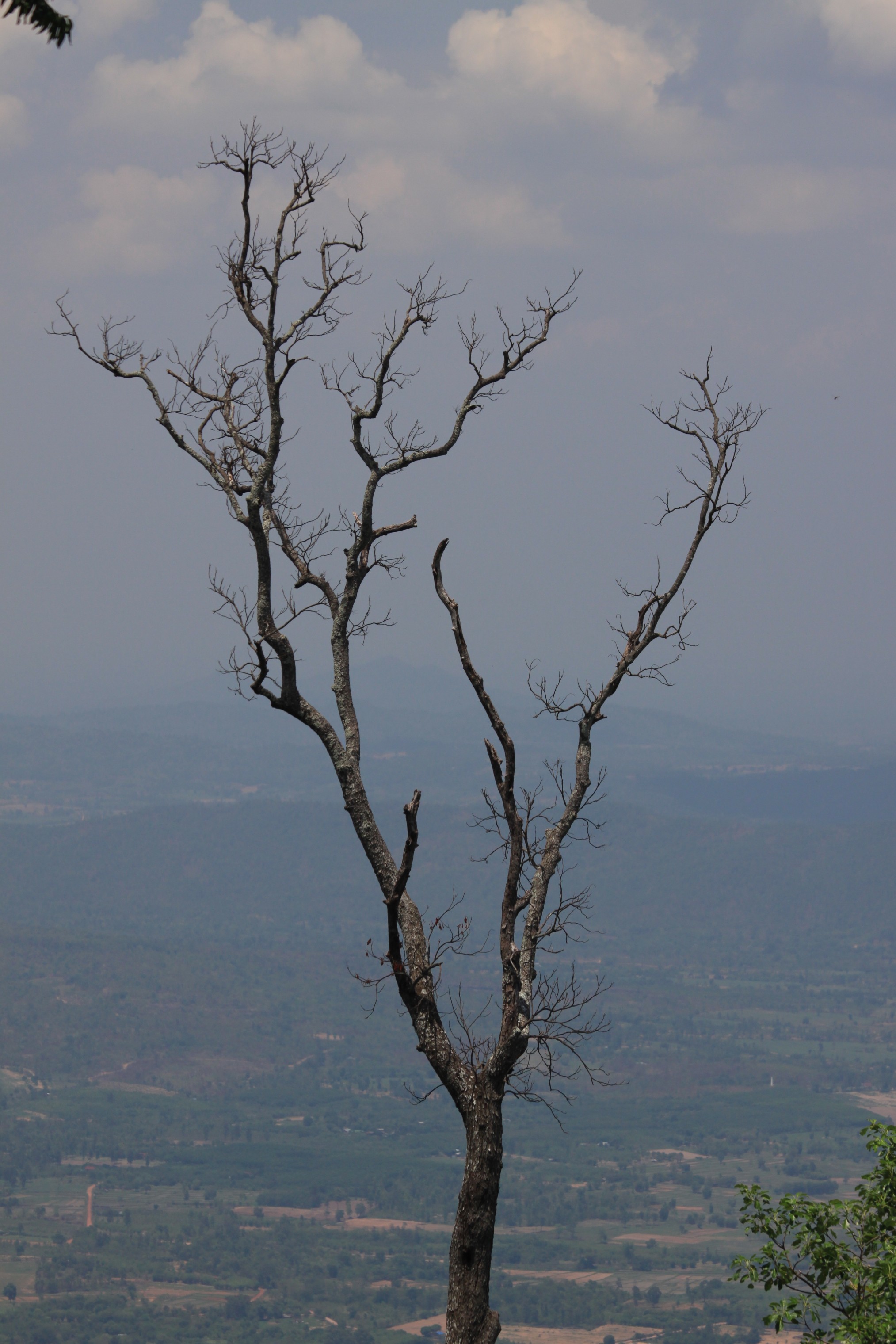 Photo Survey @ ภูกระดึง
