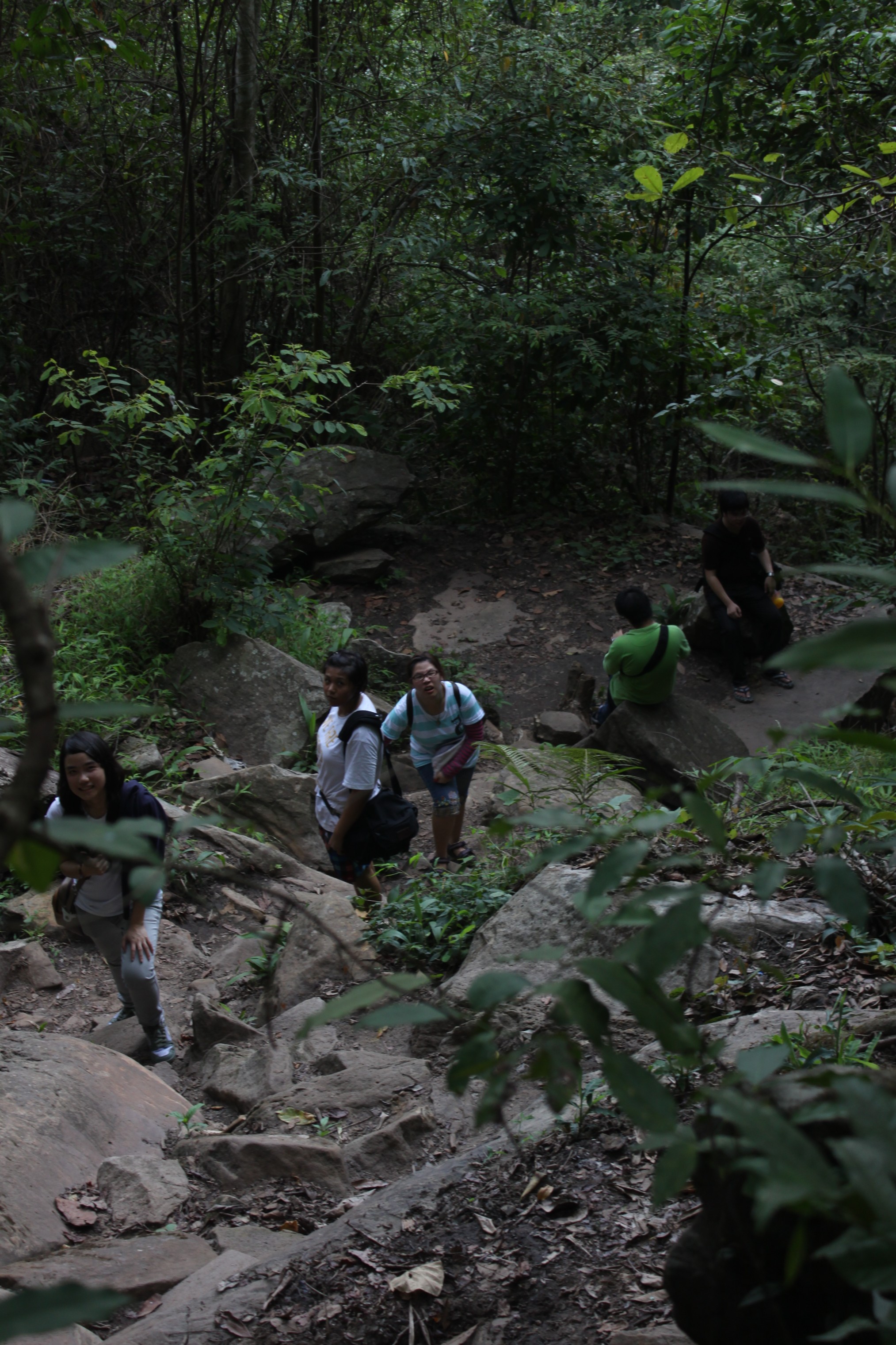 Photo Survey @ ภูกระดึง