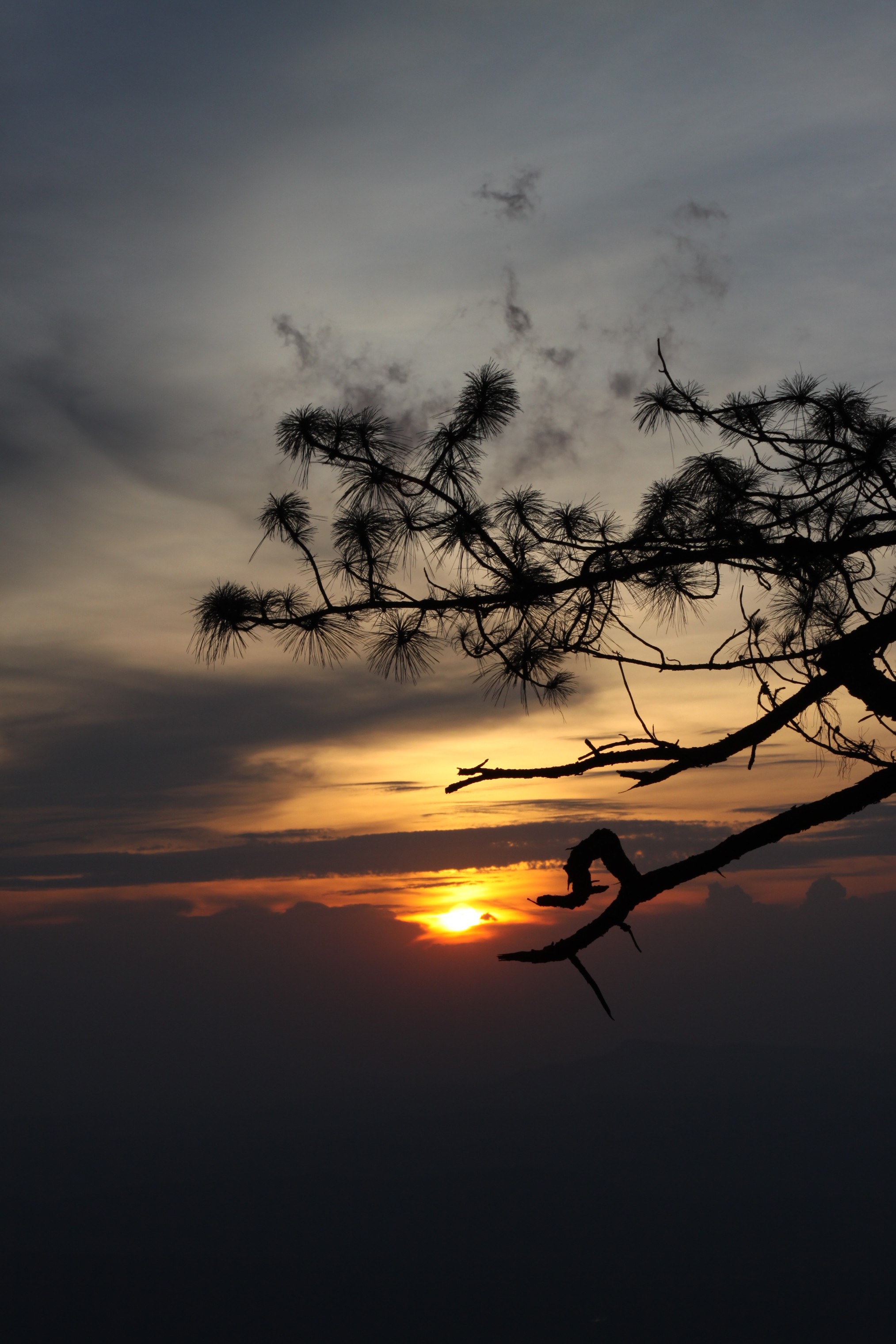 Photo Survey @ ภูกระดึง
